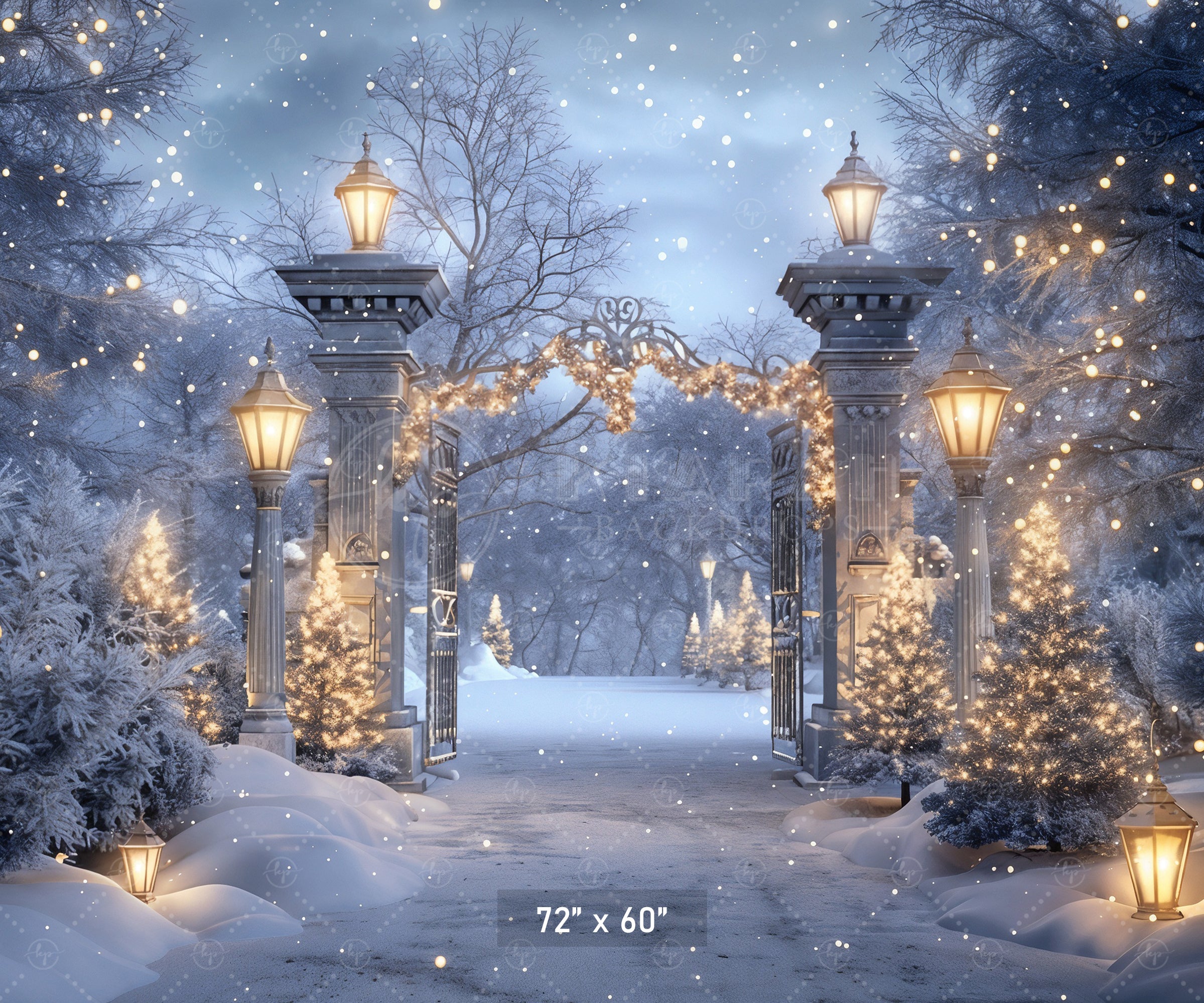 Enchanted Winter Gateway Backdrop