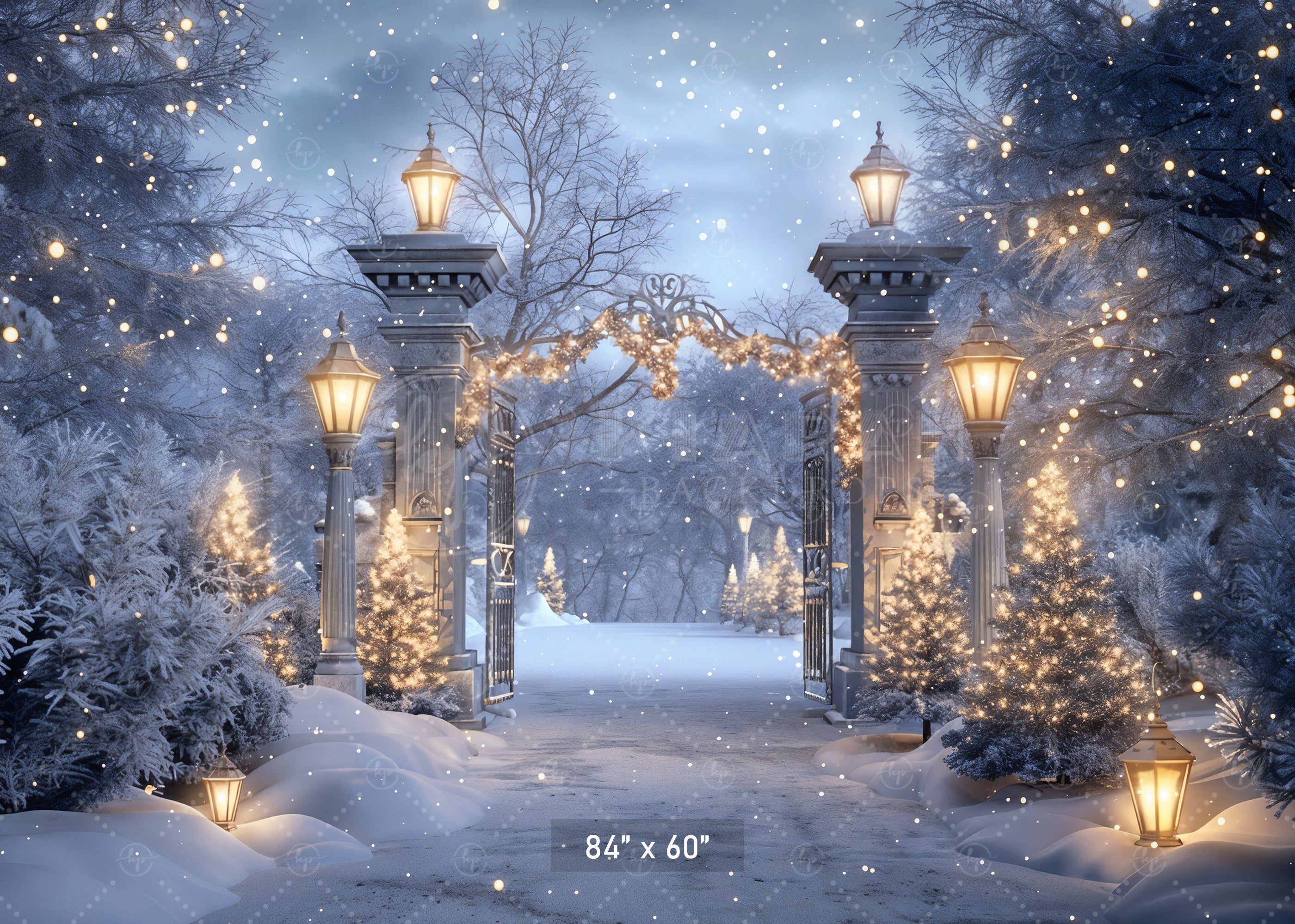 Enchanted Winter Gateway Backdrop