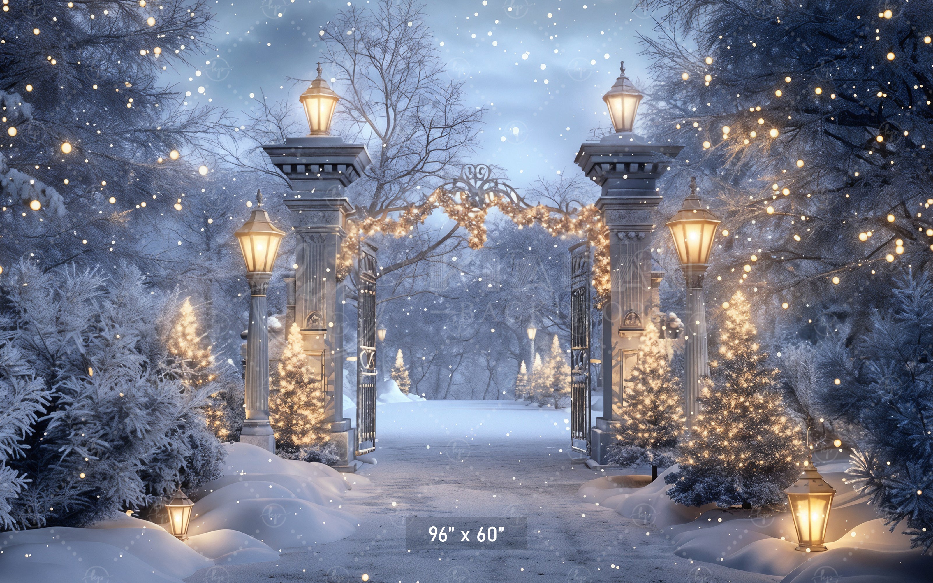 Enchanted Winter Gateway Backdrop