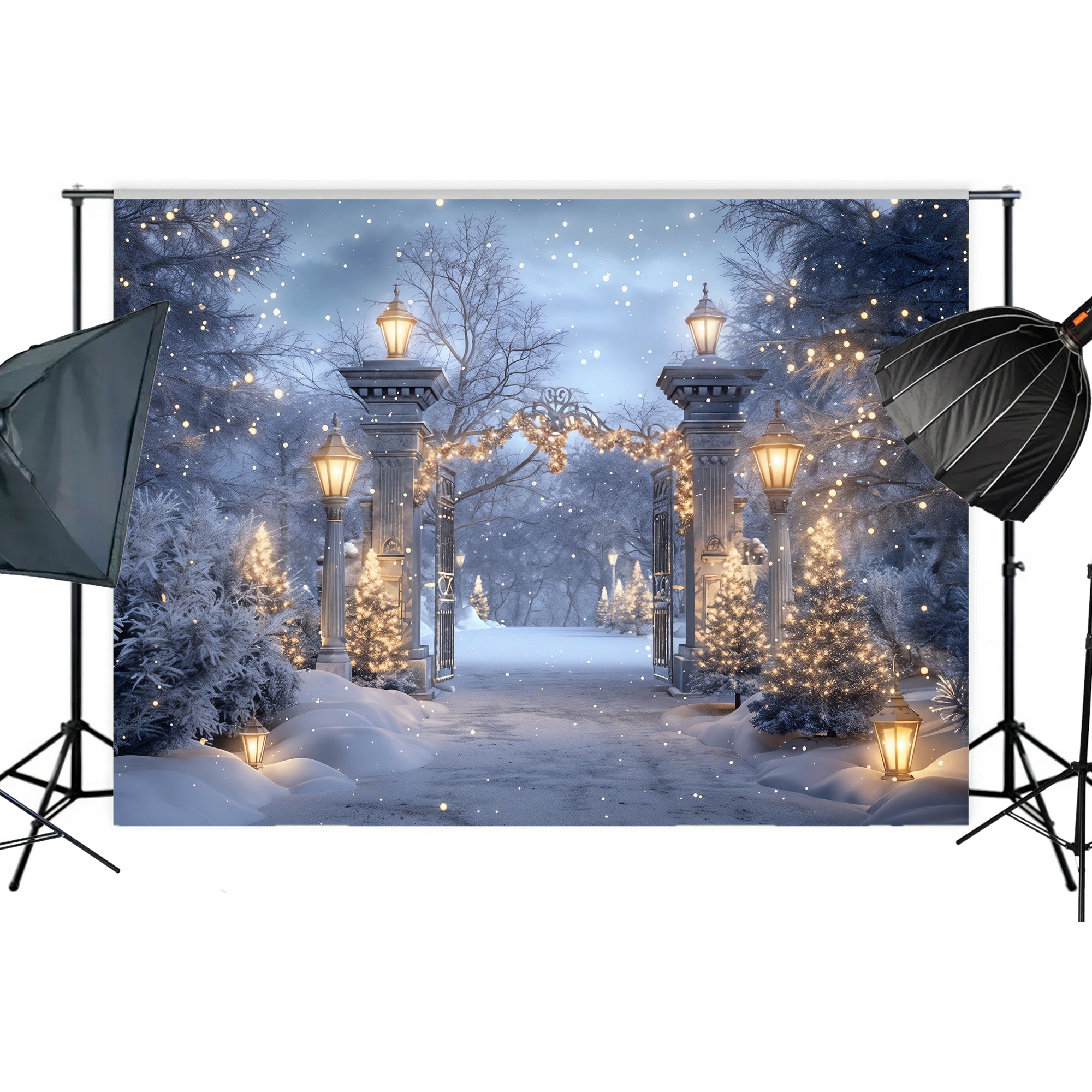 Enchanted Winter Gateway Backdrop