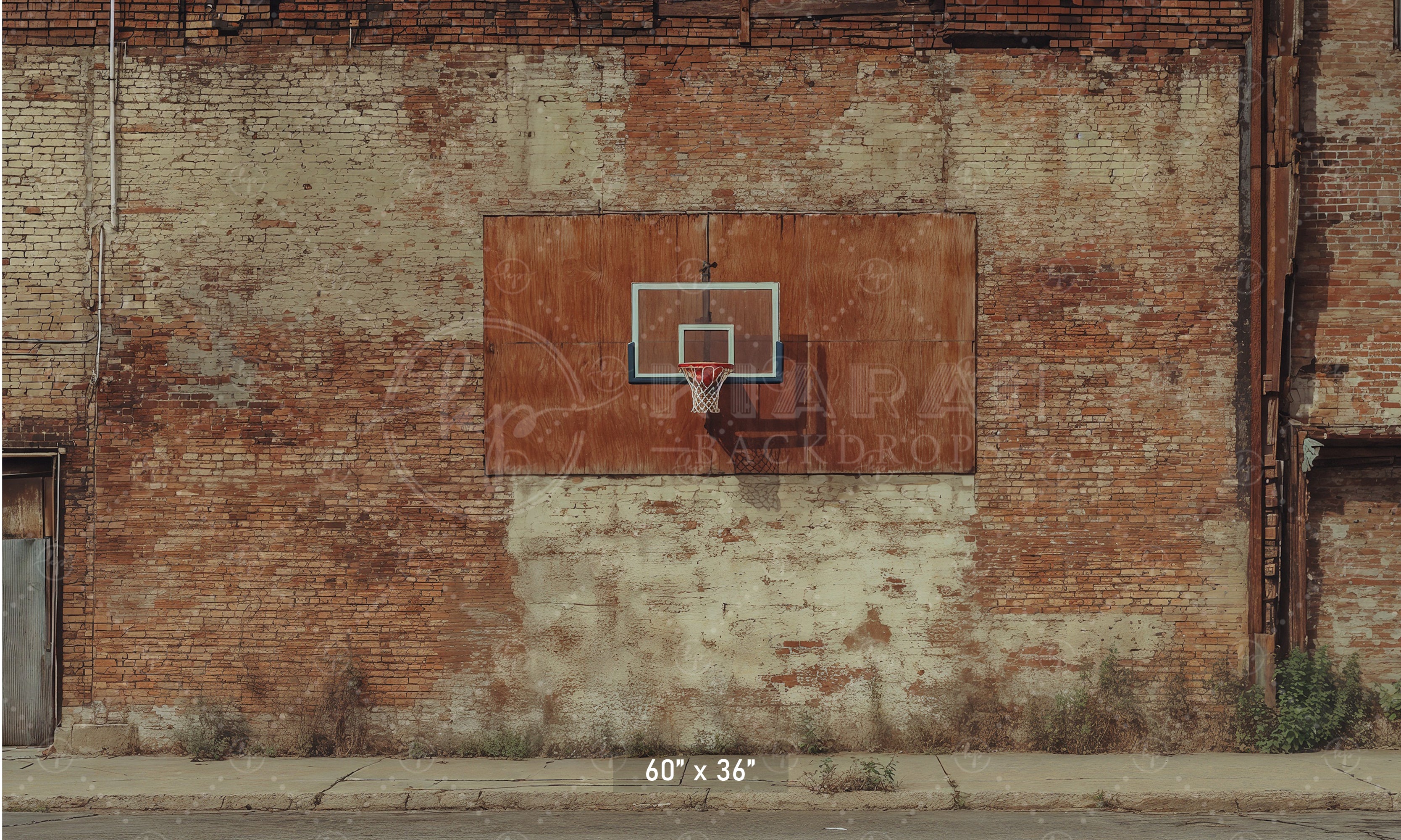 Gritty Street Ball Hoop Backdrop