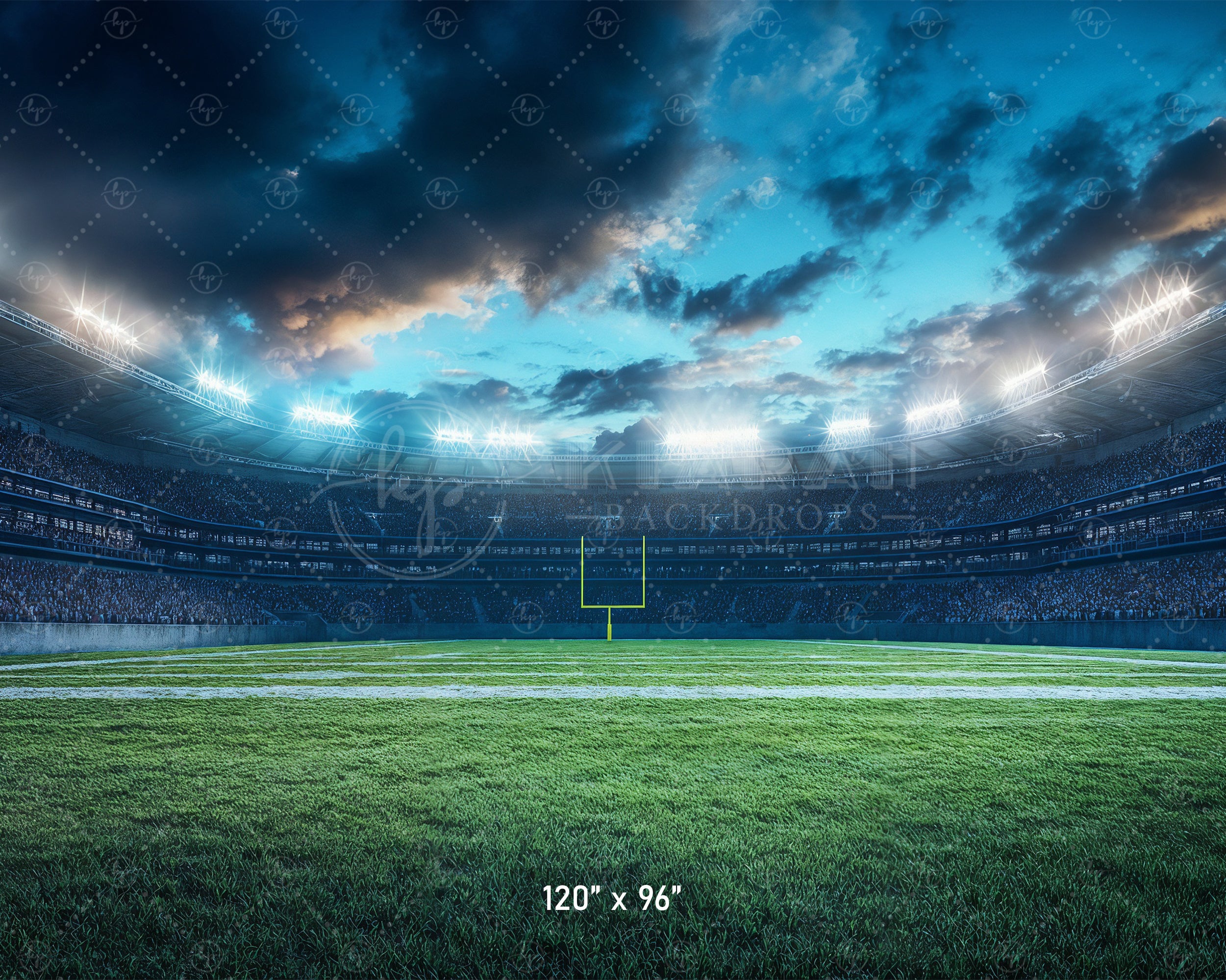 Friday Night Lights Football Field Backdrop