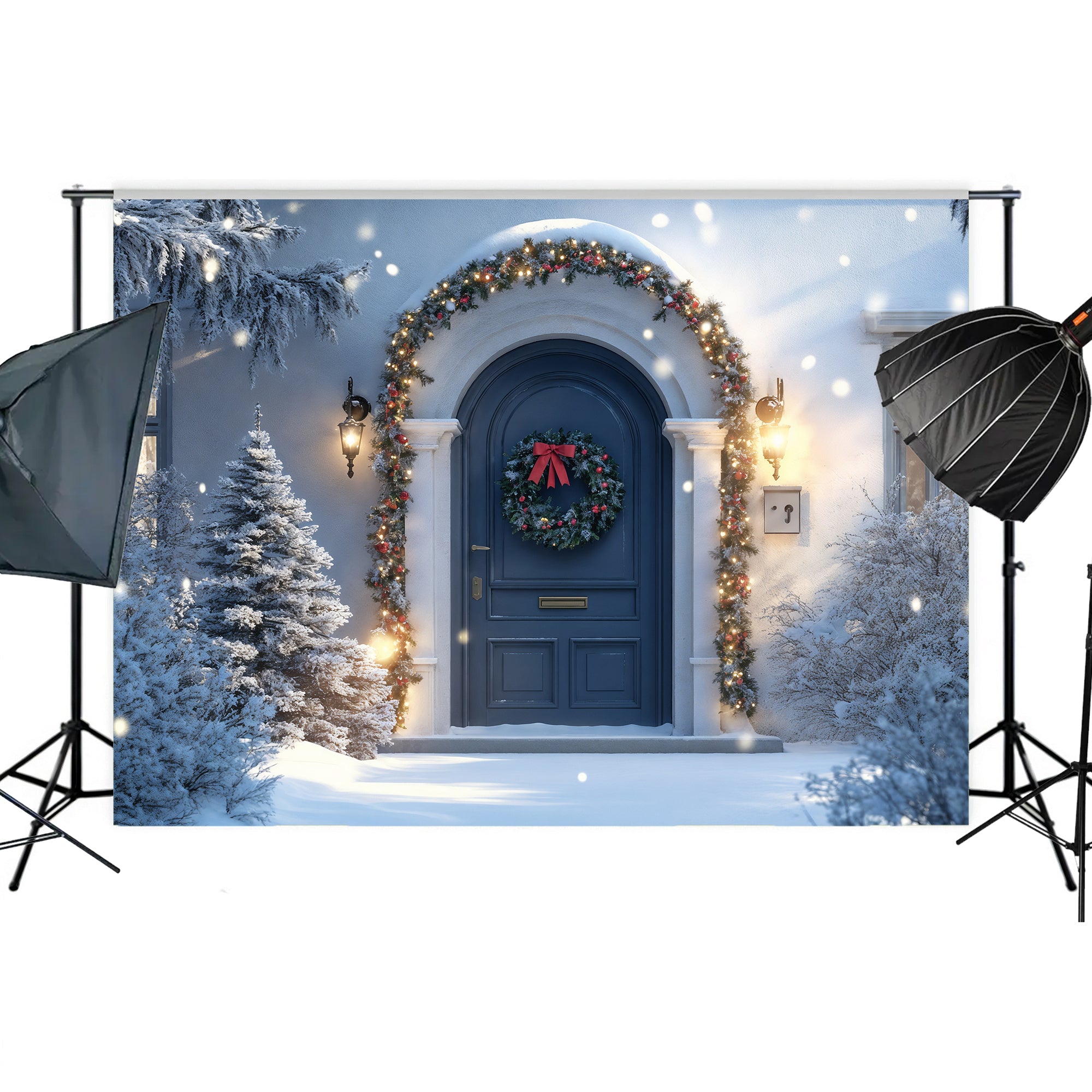 Elegant Blue Door Christmas Night