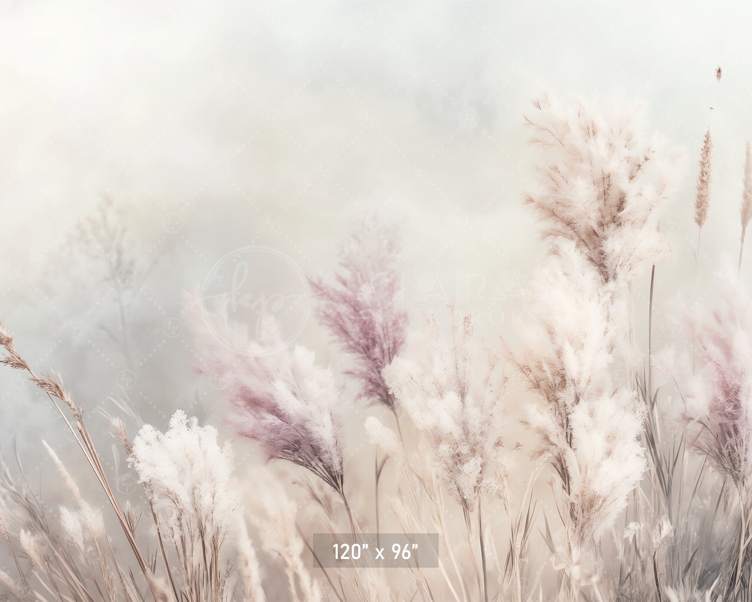 Whispering Pampas Grass Backdrop