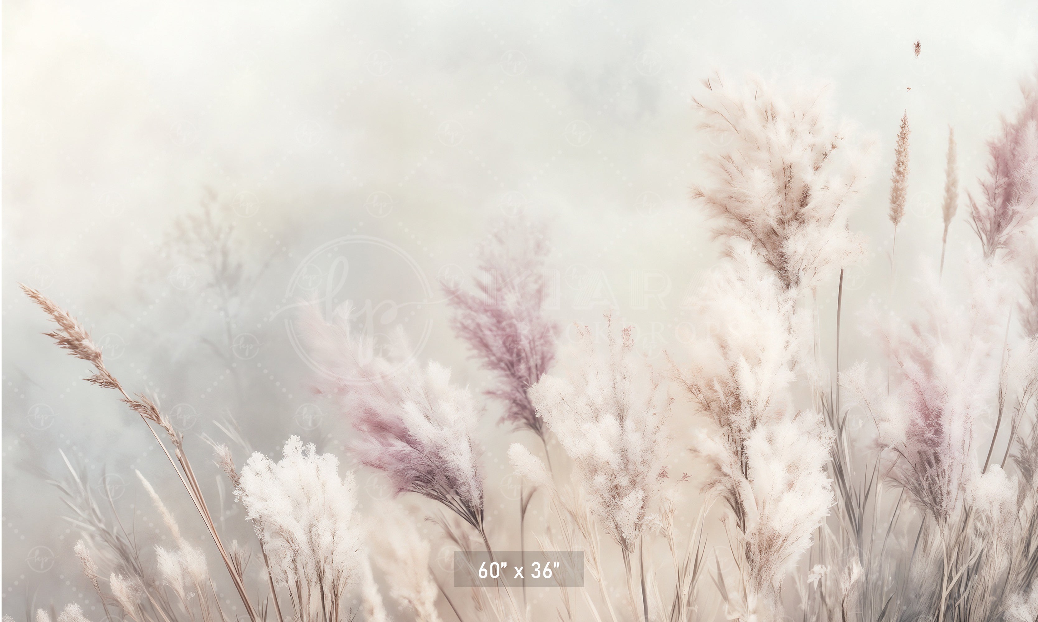 Whispering Pampas Grass Backdrop