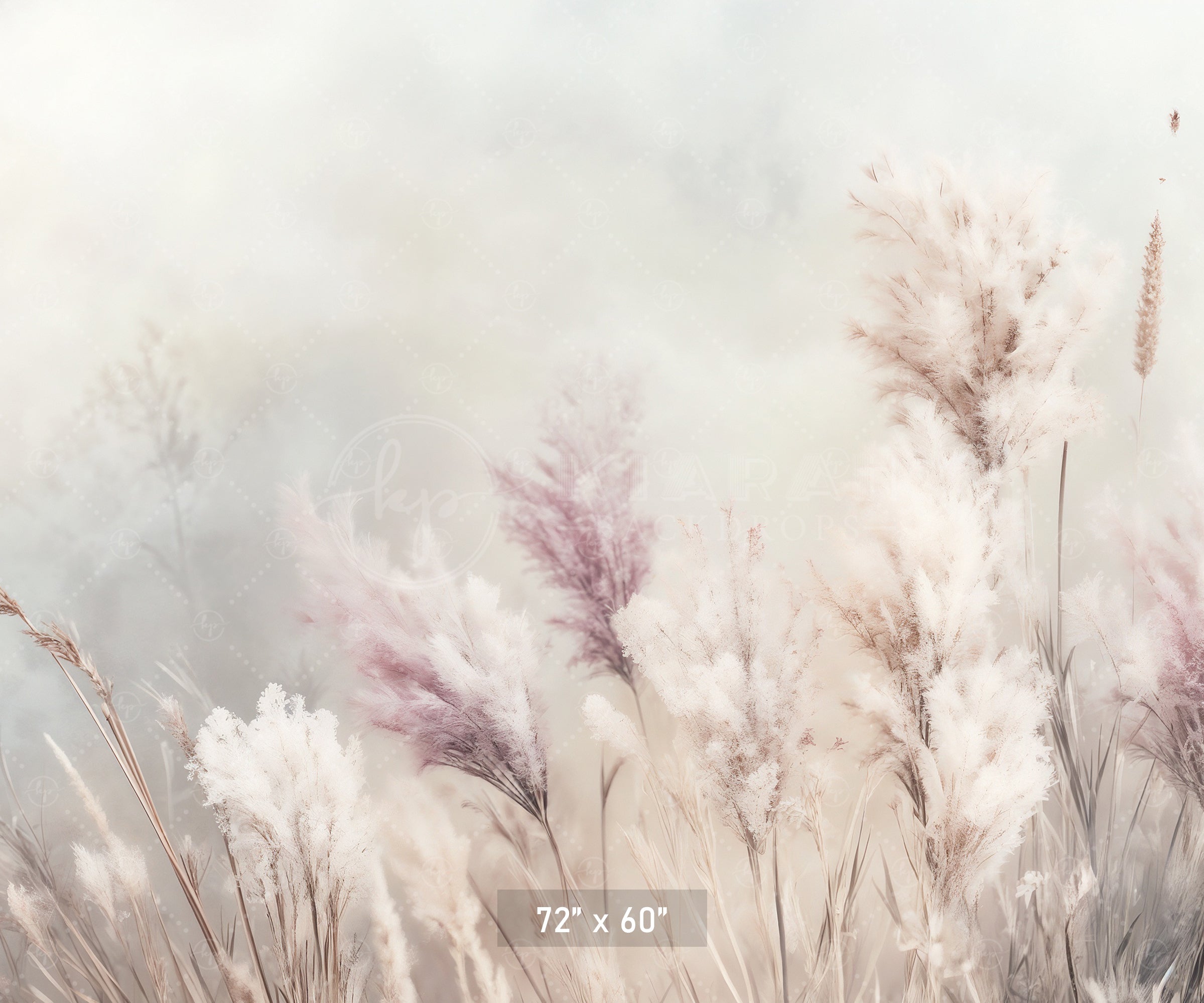 Whispering Pampas Grass Backdrop