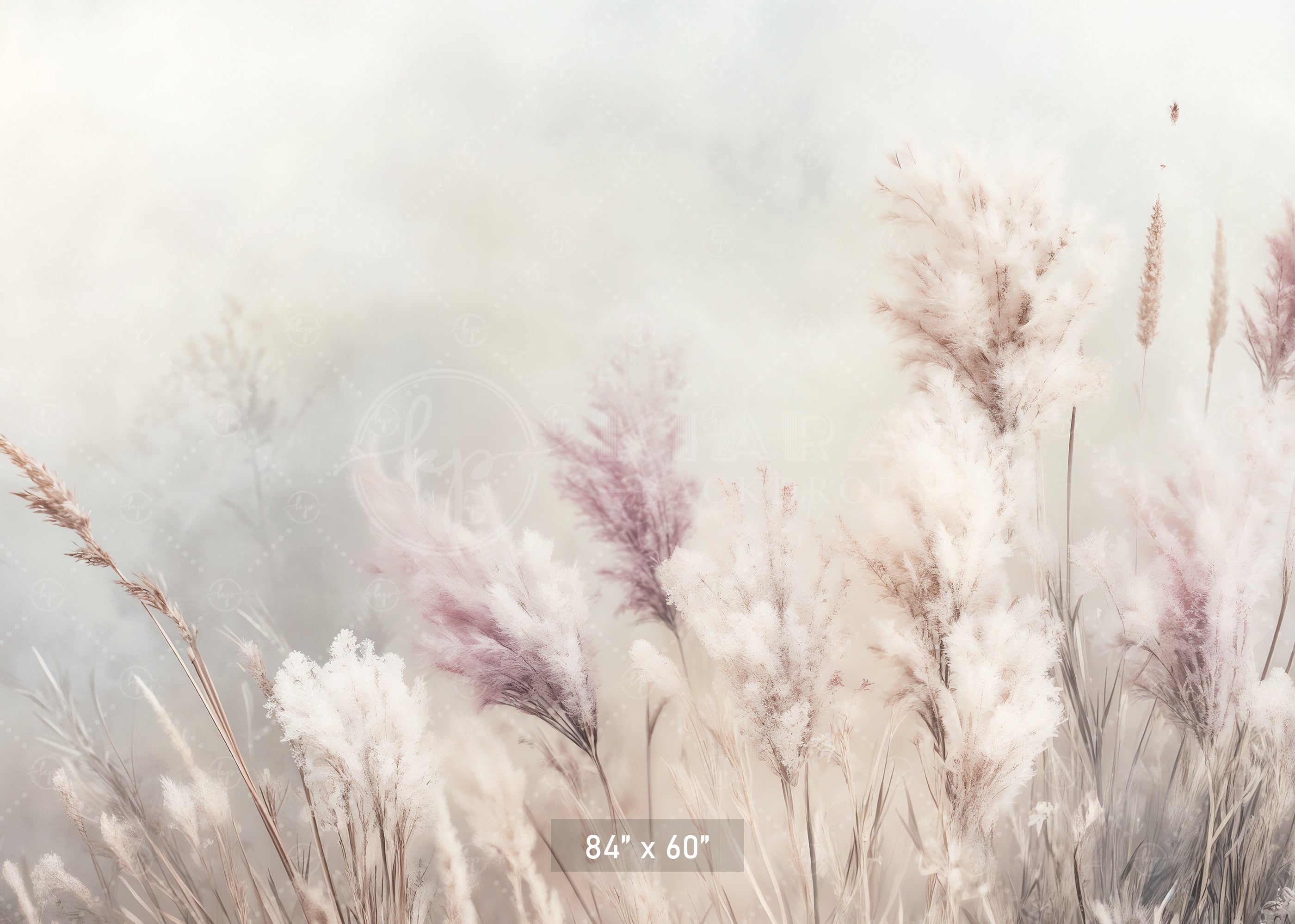 Whispering Pampas Grass Backdrop