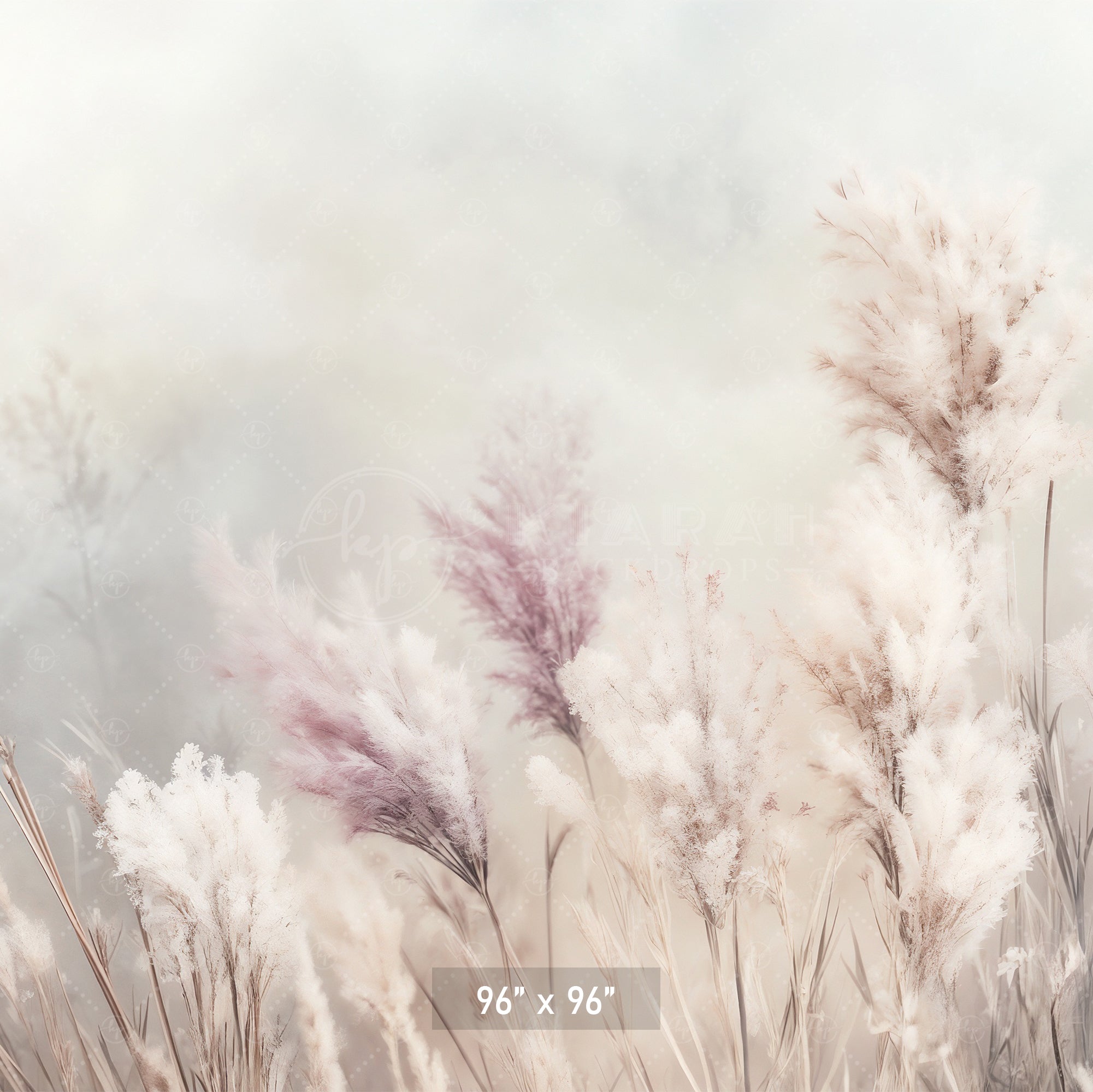 Whispering Pampas Grass Backdrop