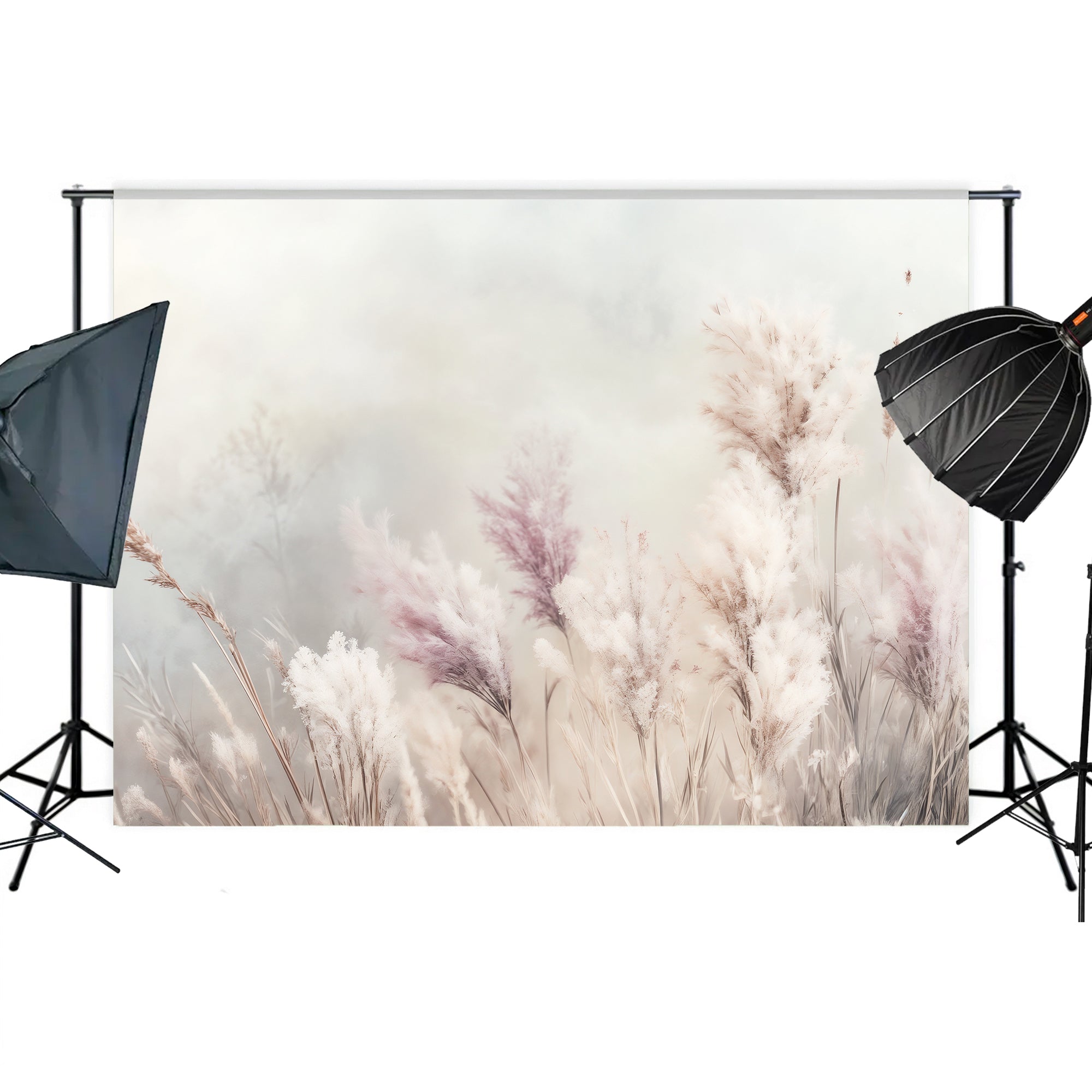 Whispering Pampas Grass Backdrop