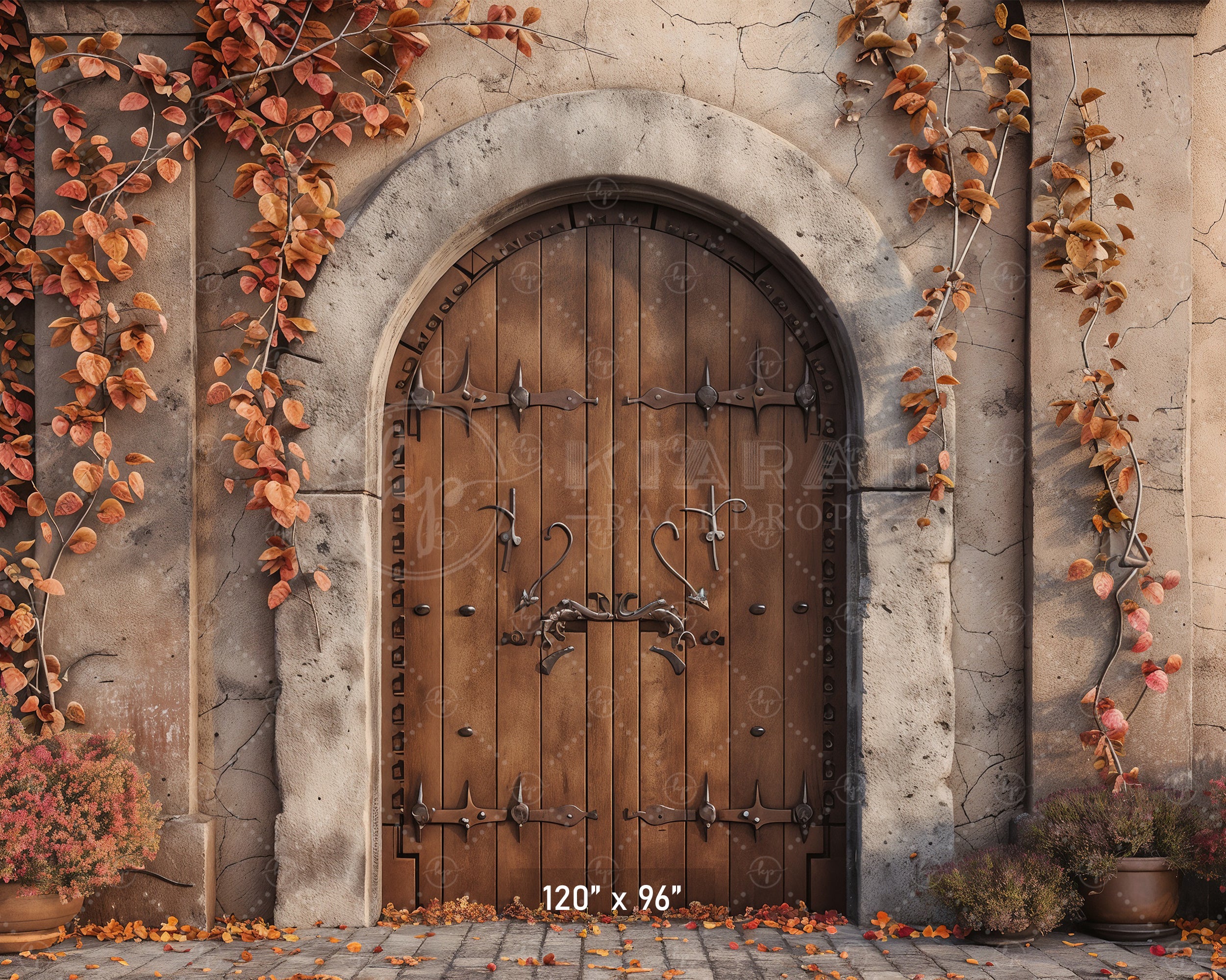 Autumn Castle Doorway Backdrop