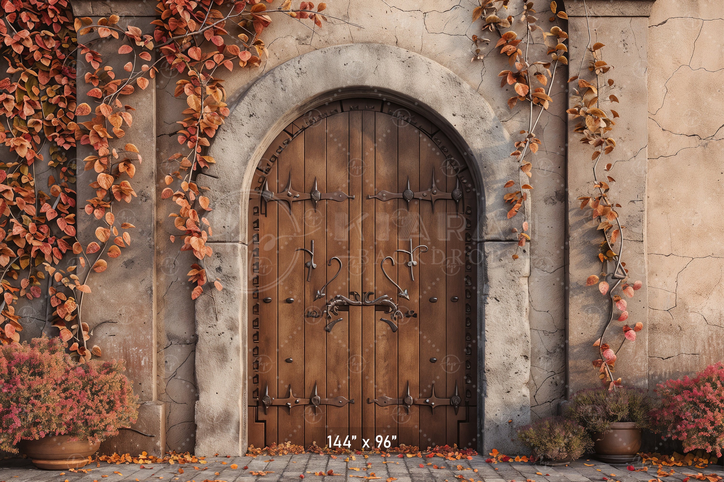 Autumn Castle Doorway Backdrop