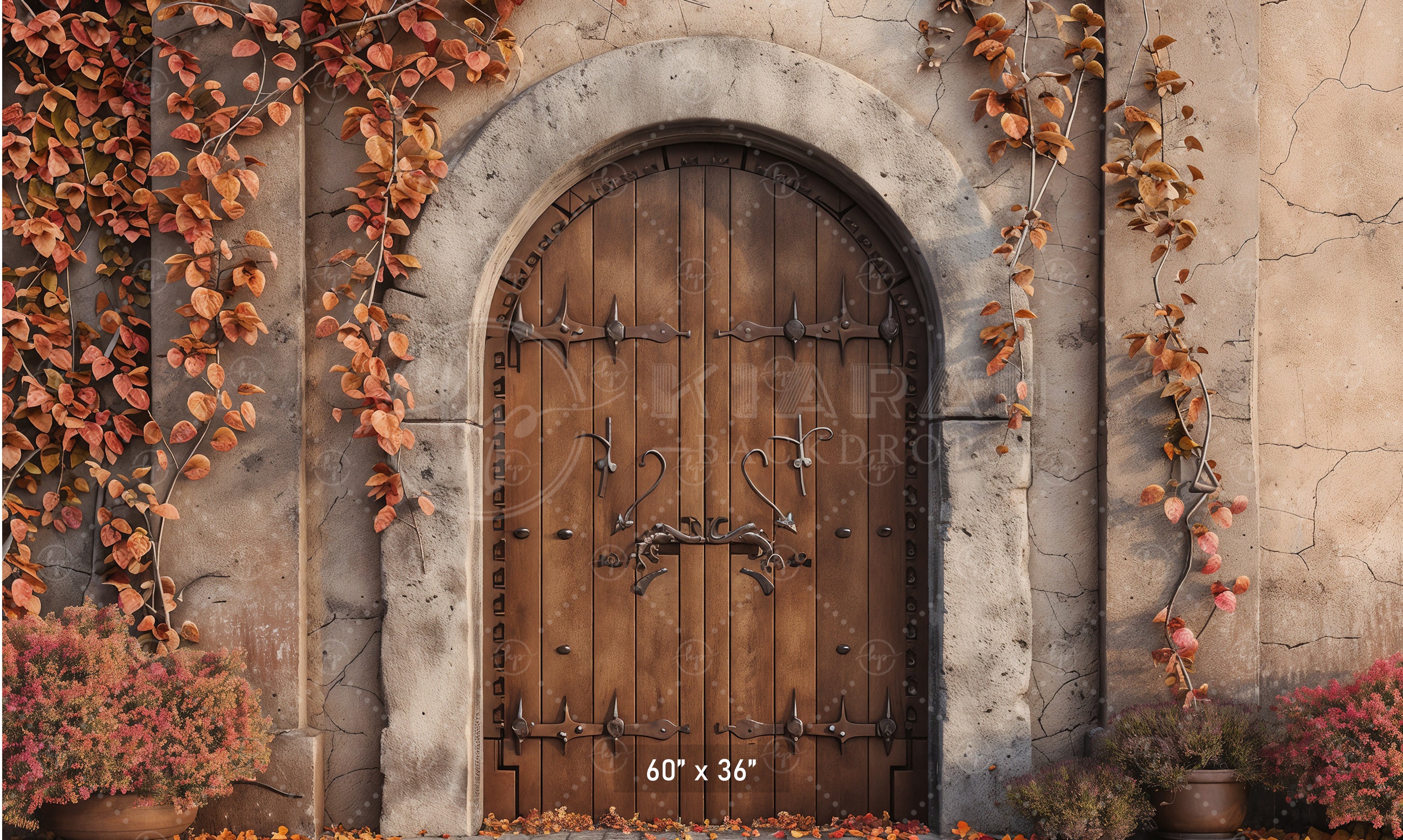 Autumn Castle Doorway Backdrop
