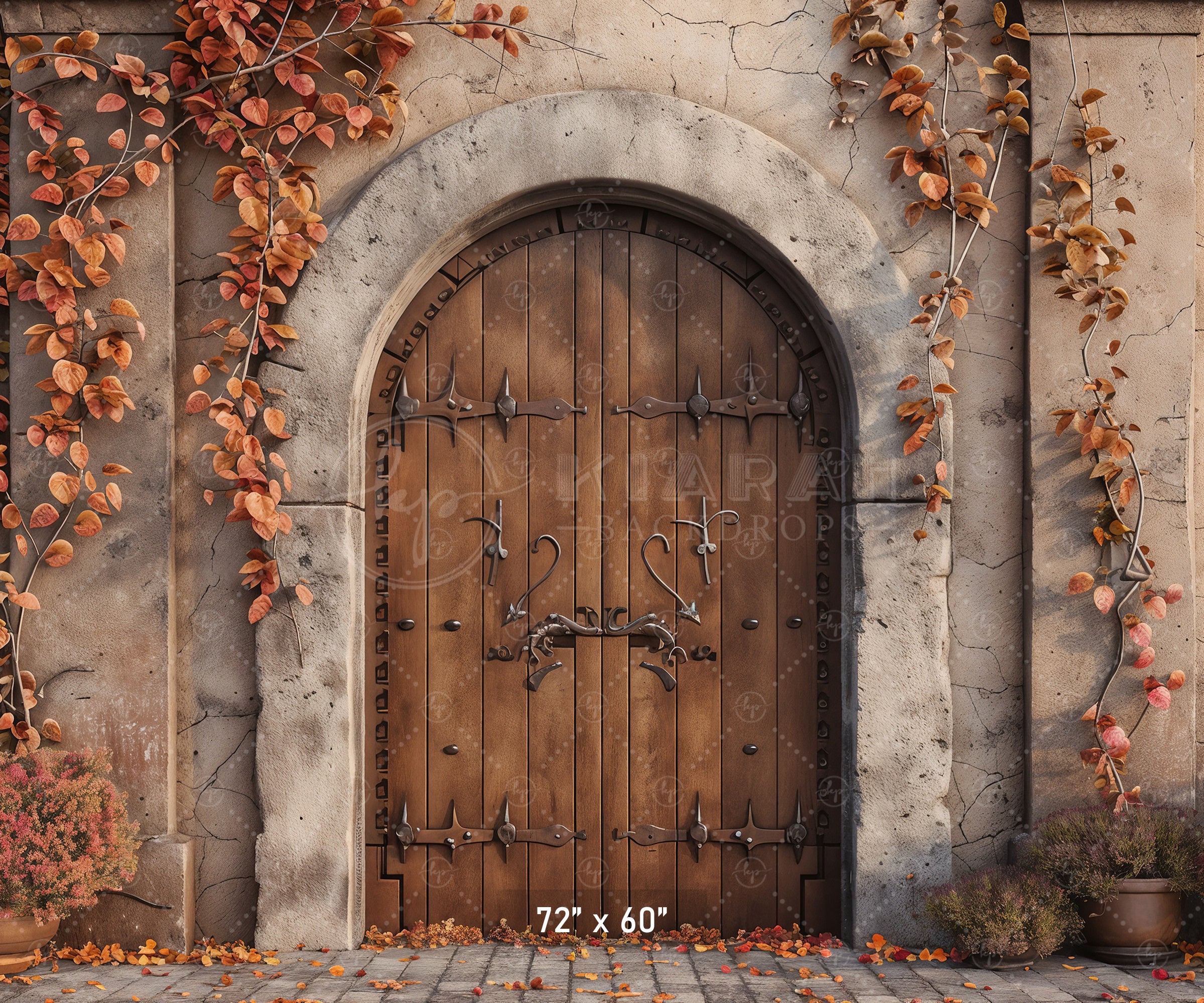 Autumn Castle Doorway Backdrop