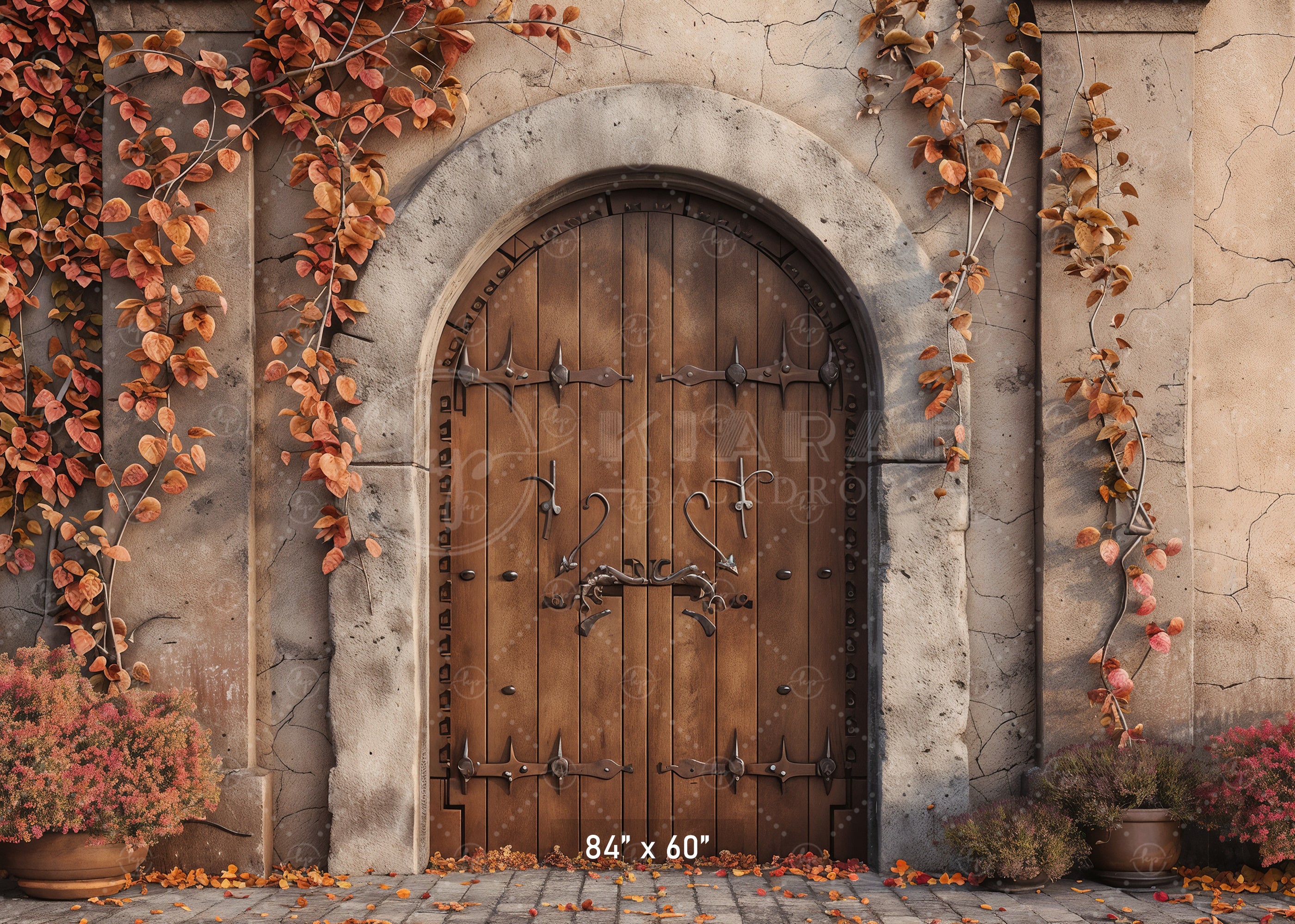 Autumn Castle Doorway Backdrop