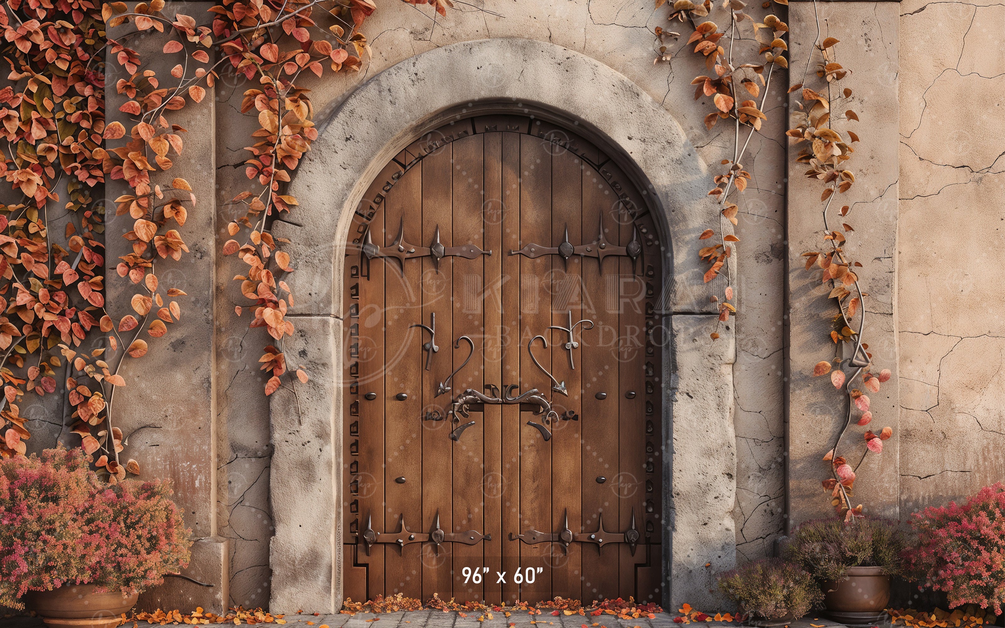 Autumn Castle Doorway Backdrop