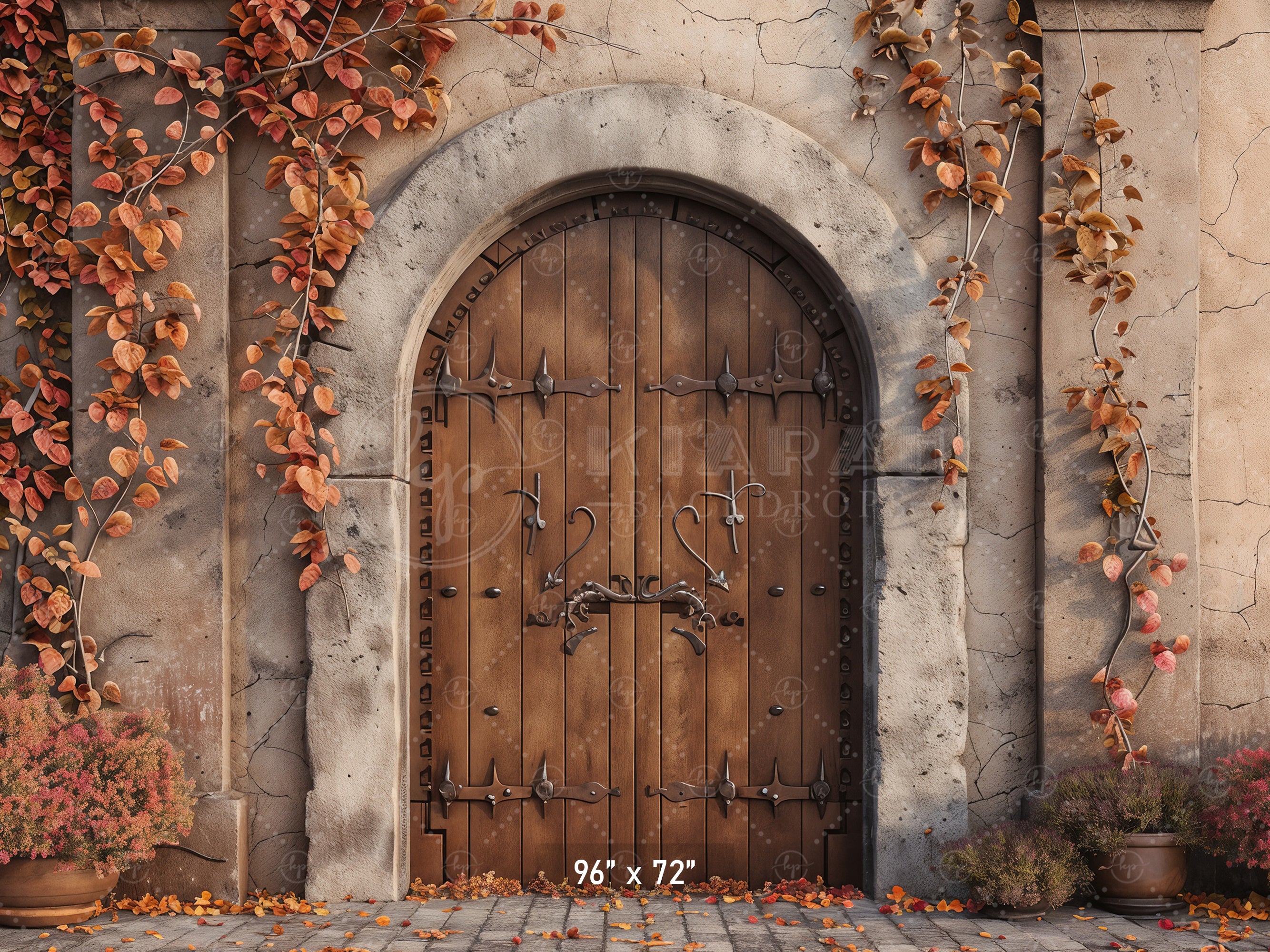 Autumn Castle Doorway Backdrop