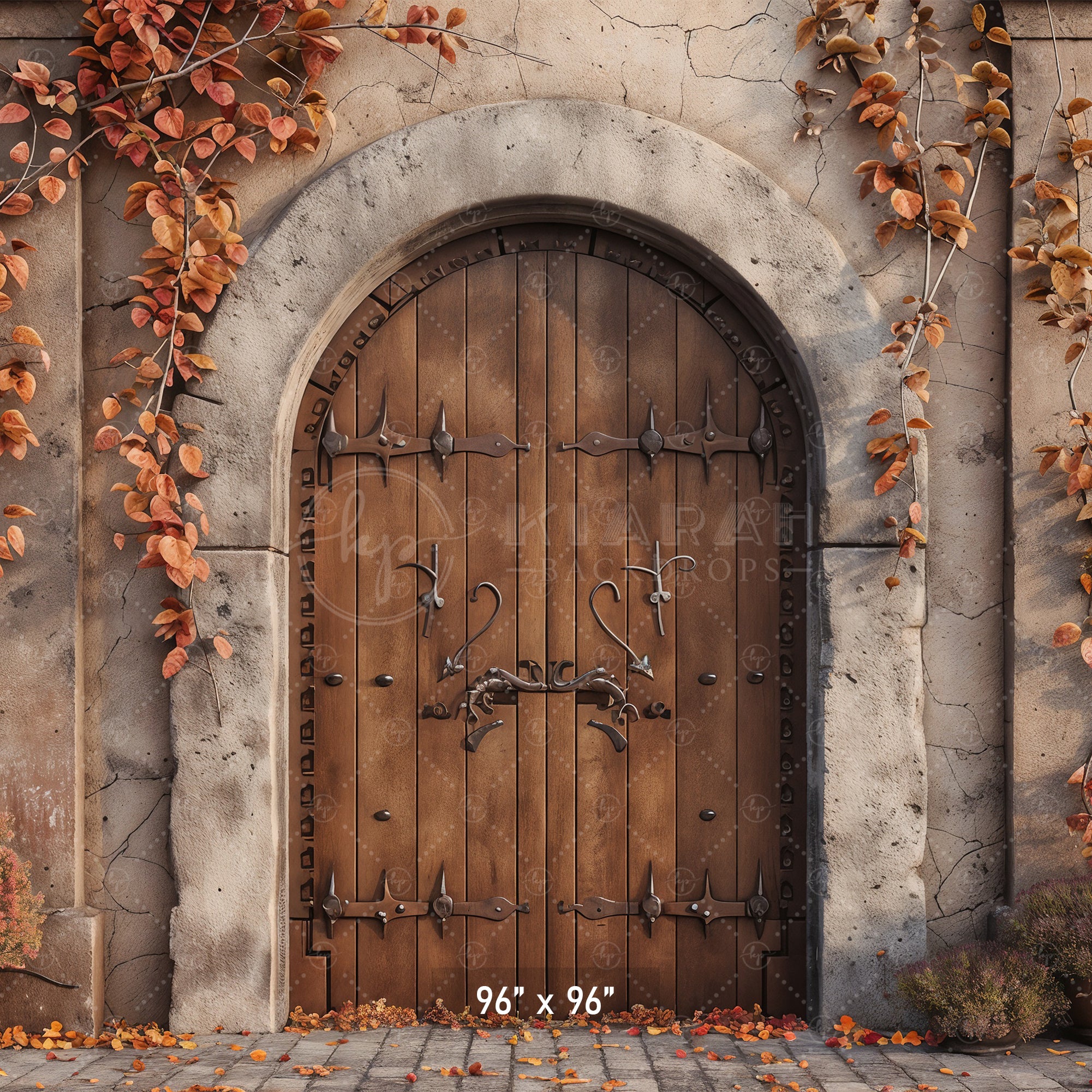 Autumn Castle Doorway Backdrop