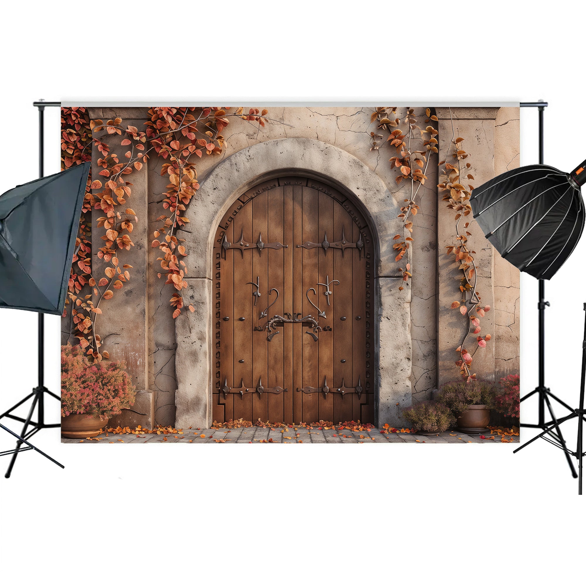 Autumn Castle Doorway Backdrop
