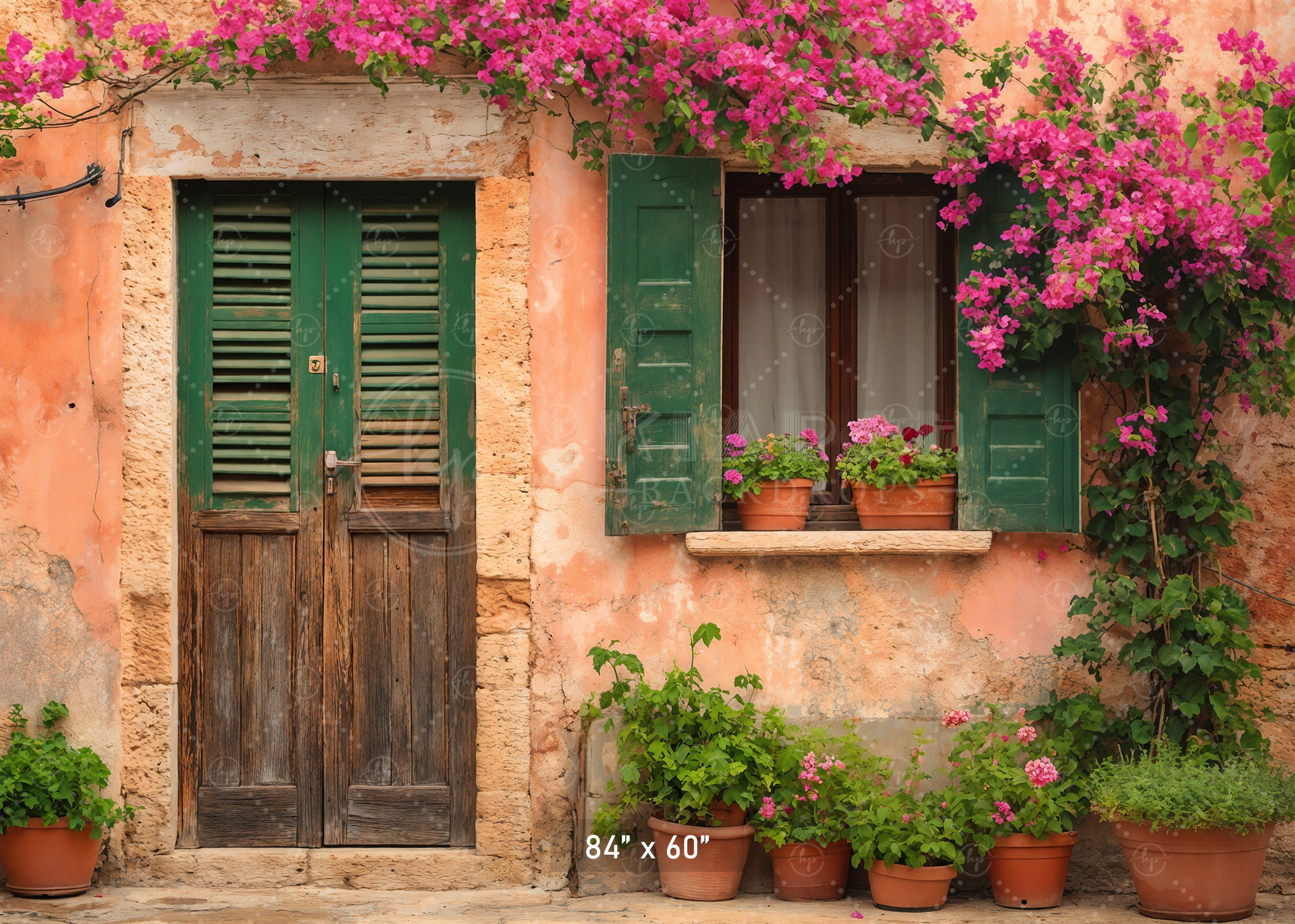 Mediterranean Villa Door Backdrop