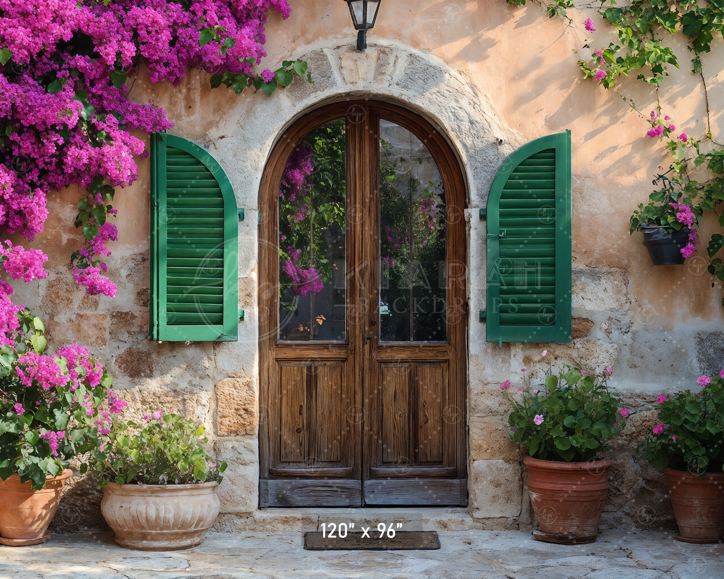 Rustic Stone Arch Doorway Backdrop