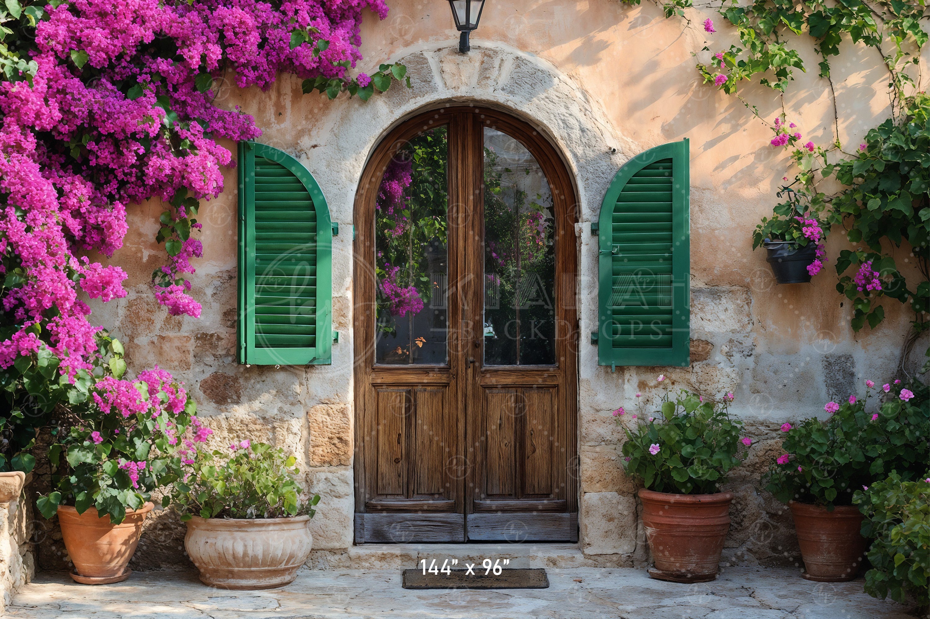 Rustic Stone Arch Doorway Backdrop