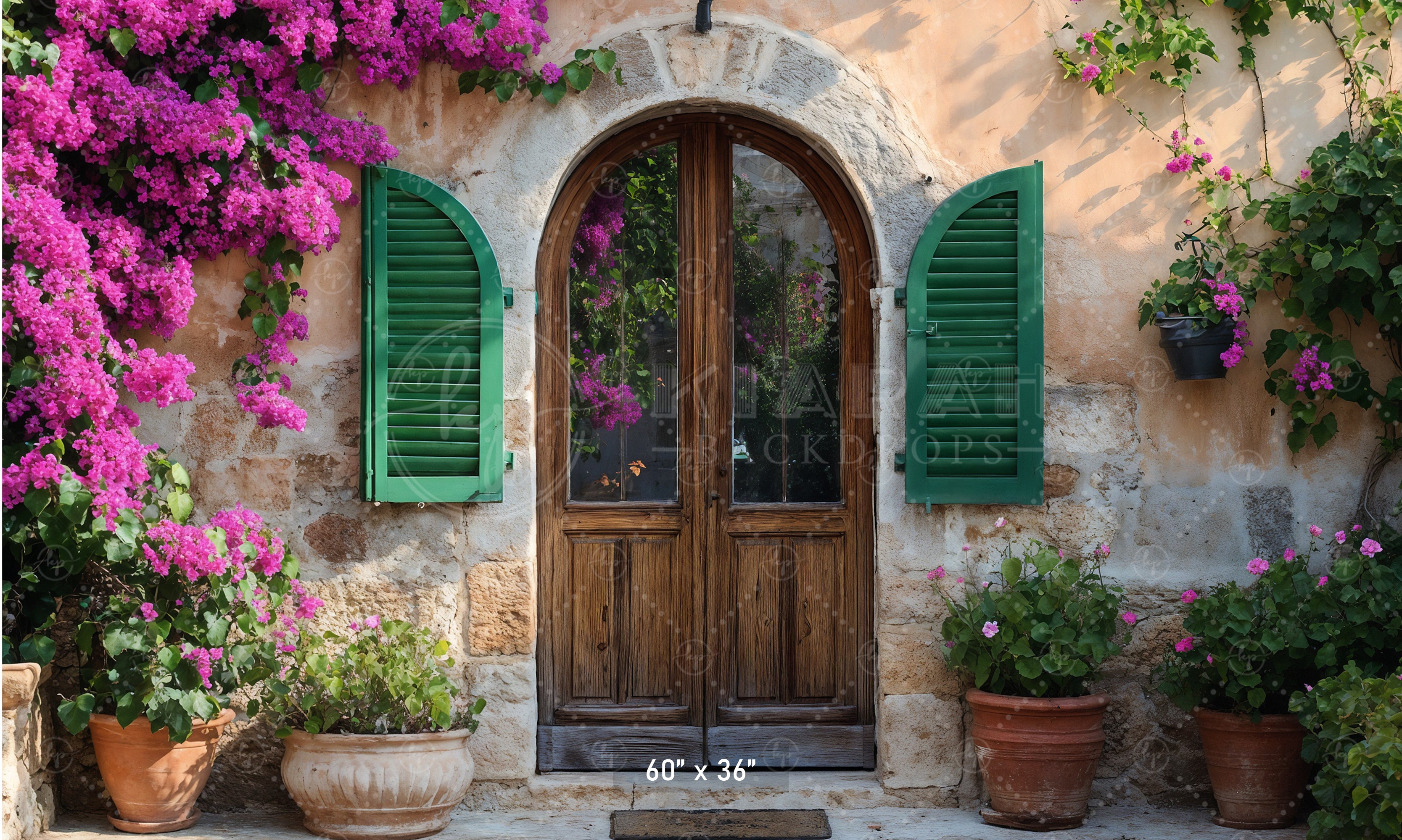Rustic Stone Arch Doorway Backdrop