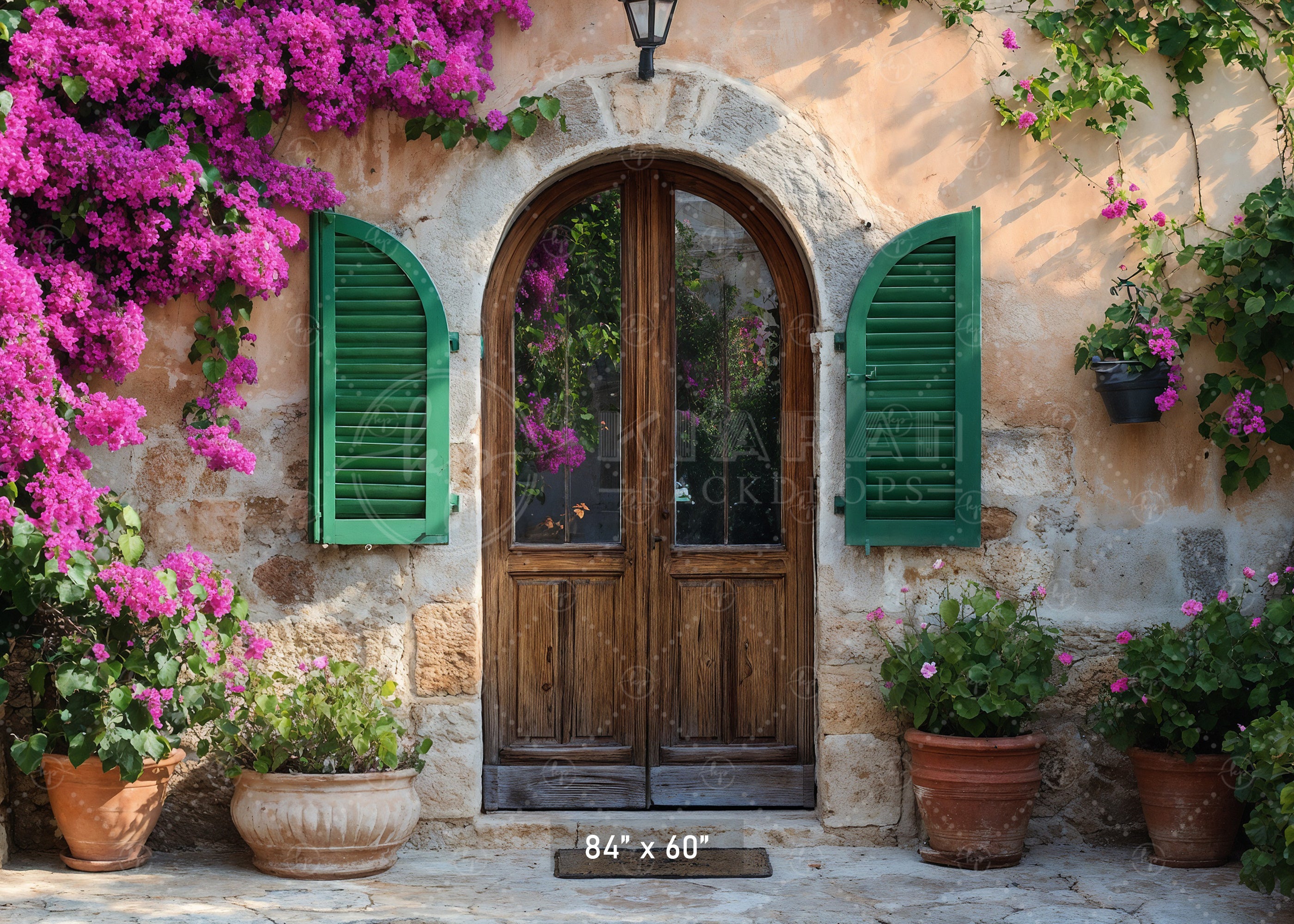 Rustic Stone Arch Doorway Backdrop