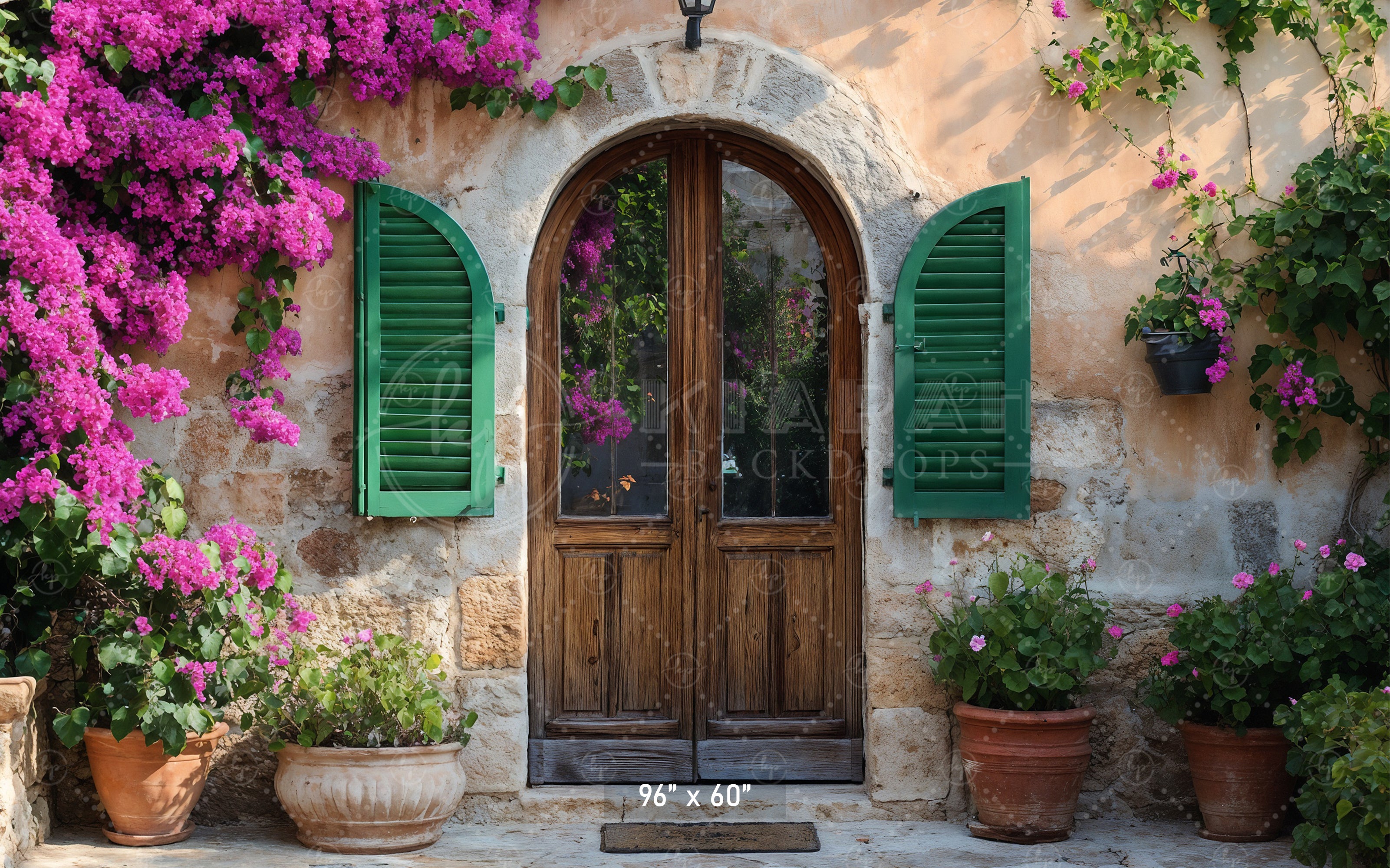 Rustic Stone Arch Doorway Backdrop