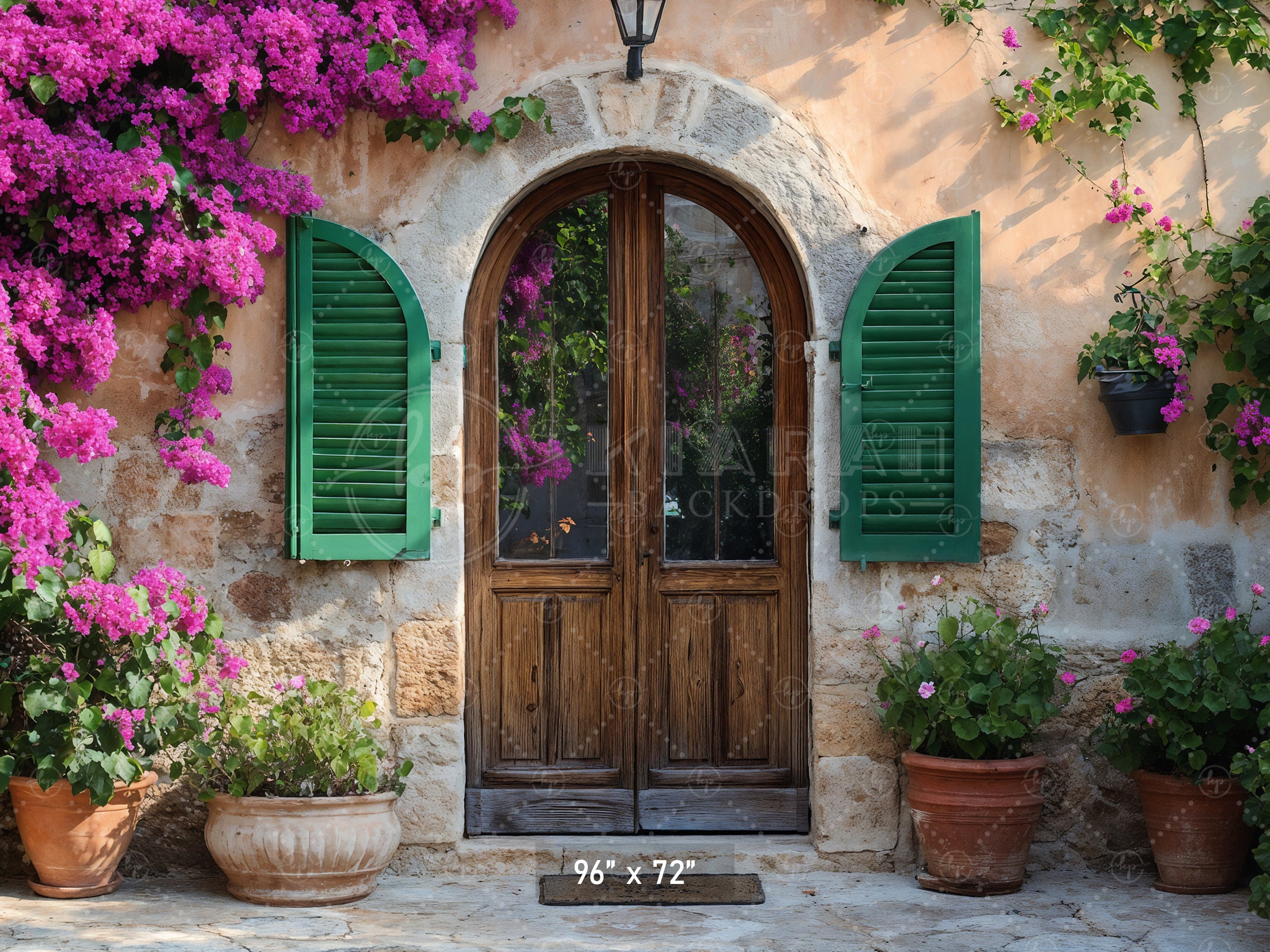 Rustic Stone Arch Doorway Backdrop