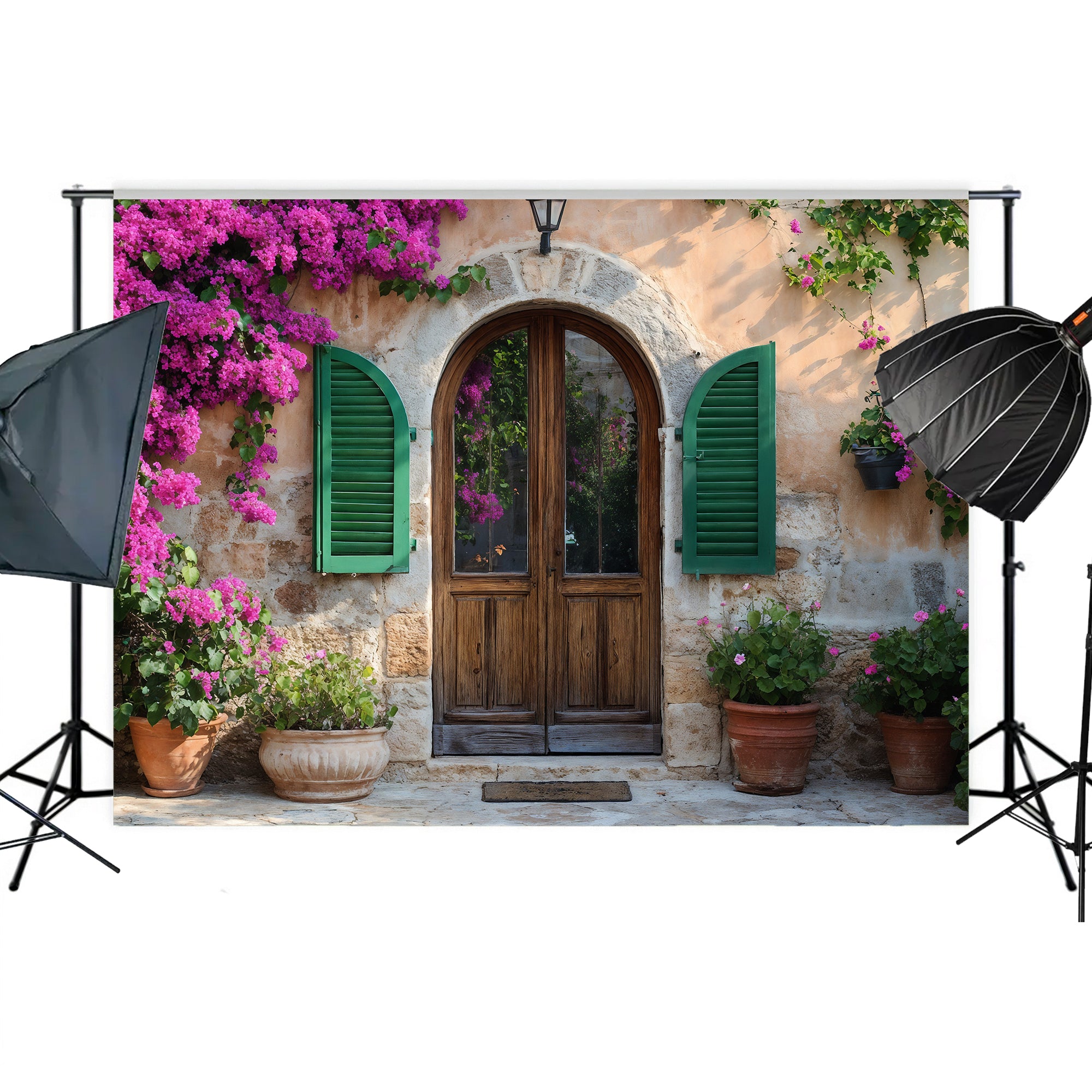 Rustic Stone Arch Doorway Backdrop