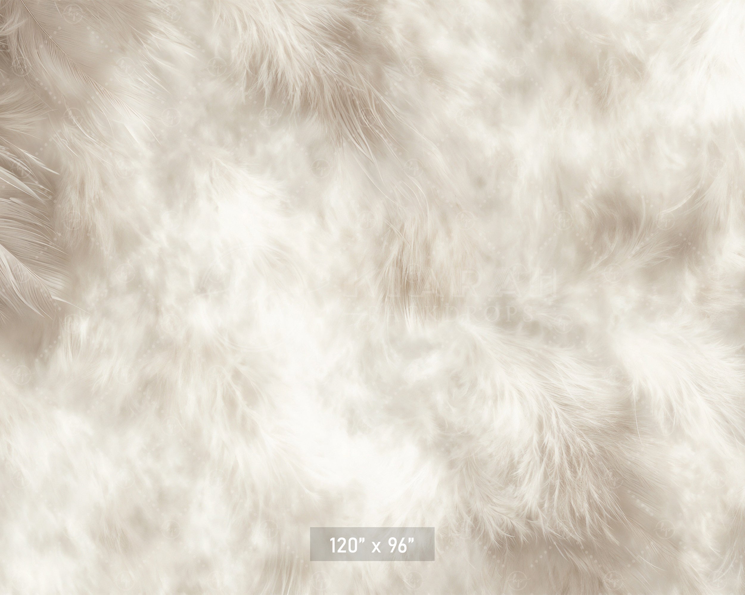 Soft White Feather Texture Backdrop