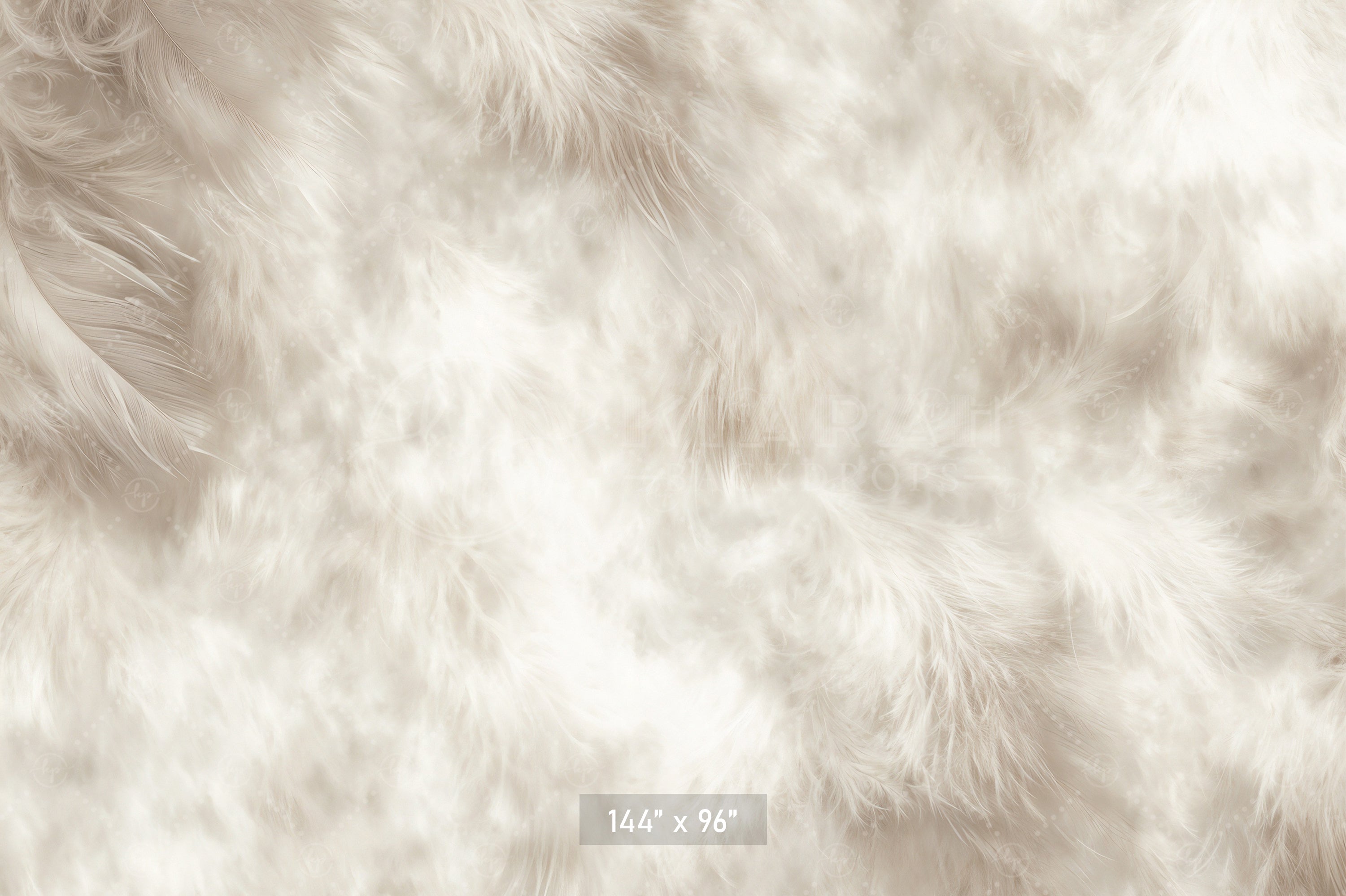 Soft White Feather Texture Backdrop