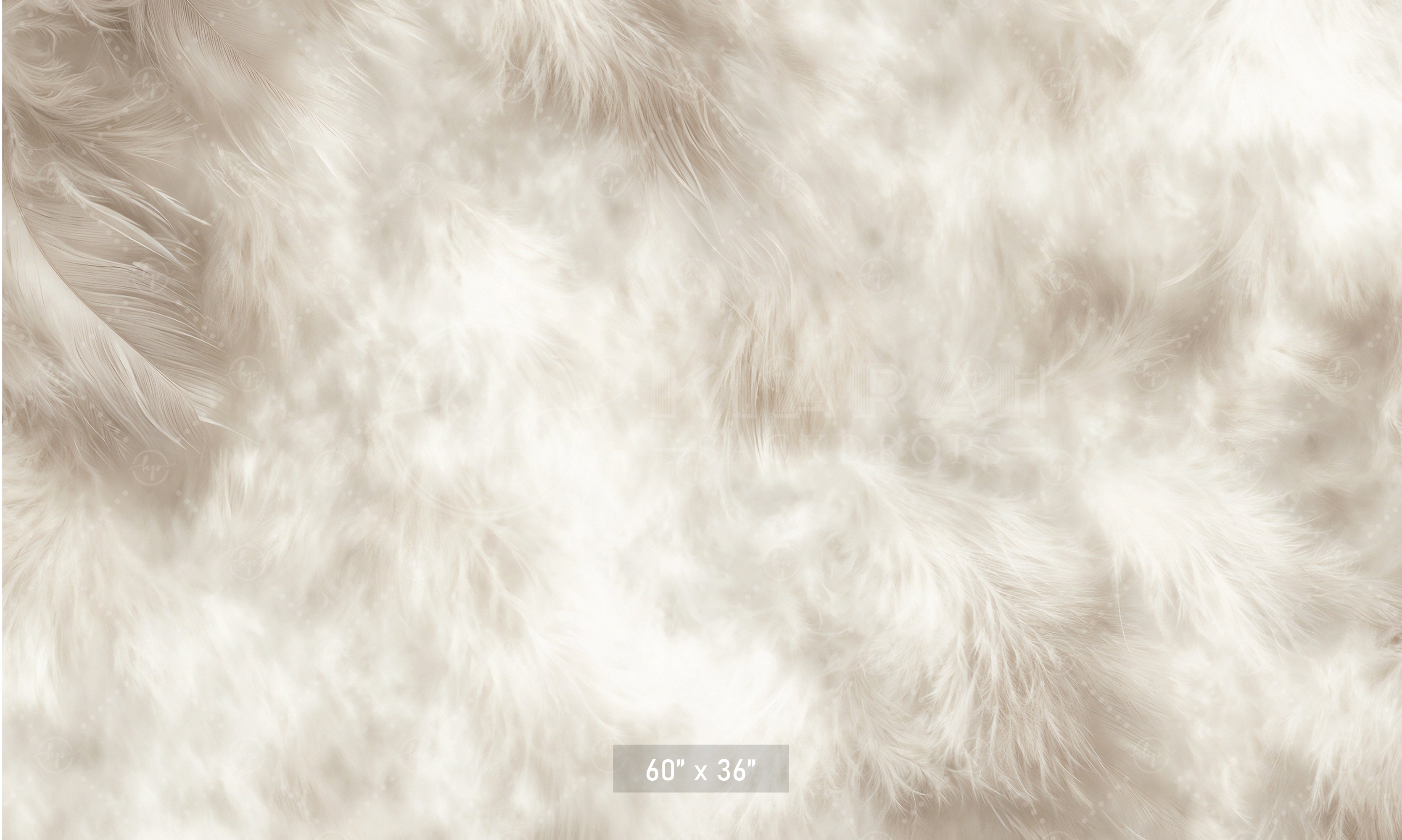 Soft White Feather Texture Backdrop
