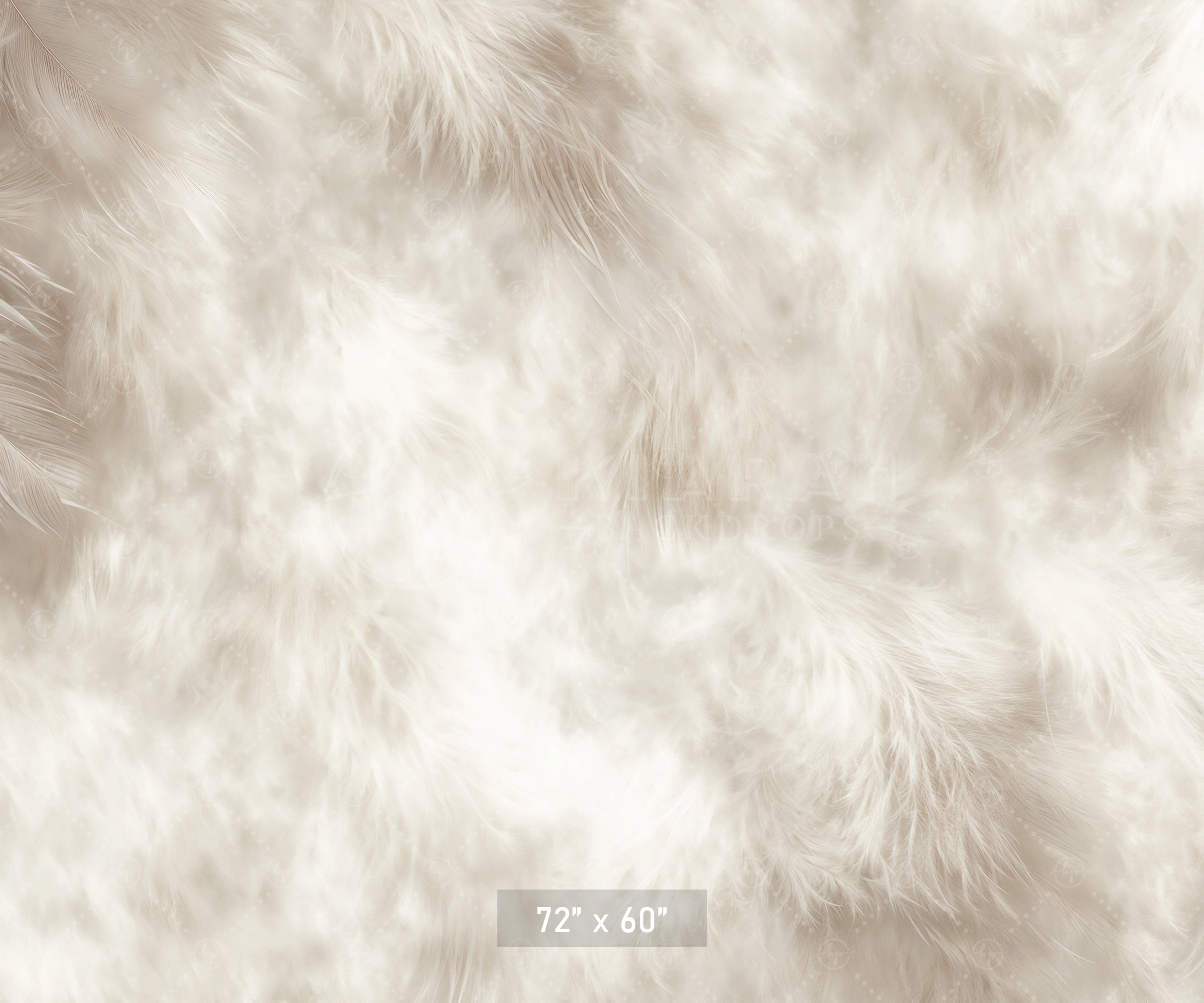 Soft White Feather Texture Backdrop