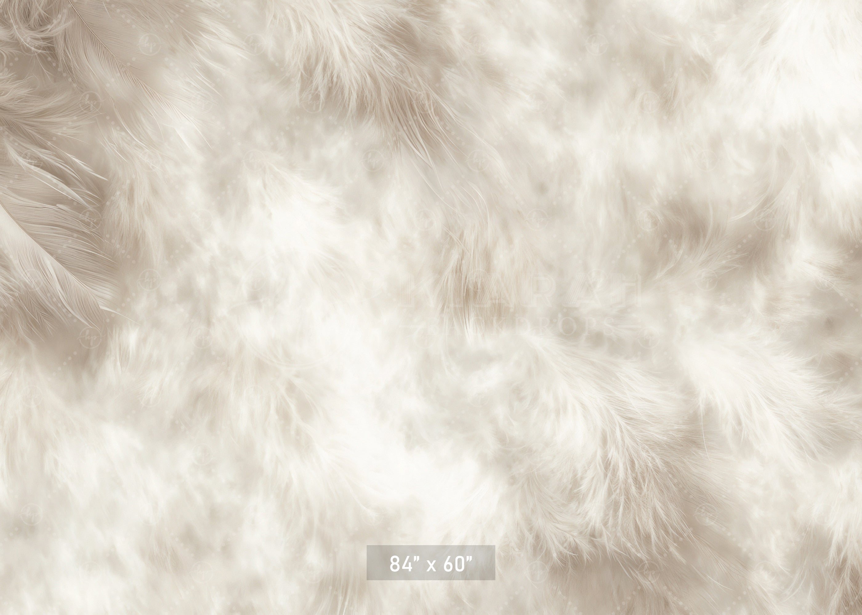 Soft White Feather Texture Backdrop