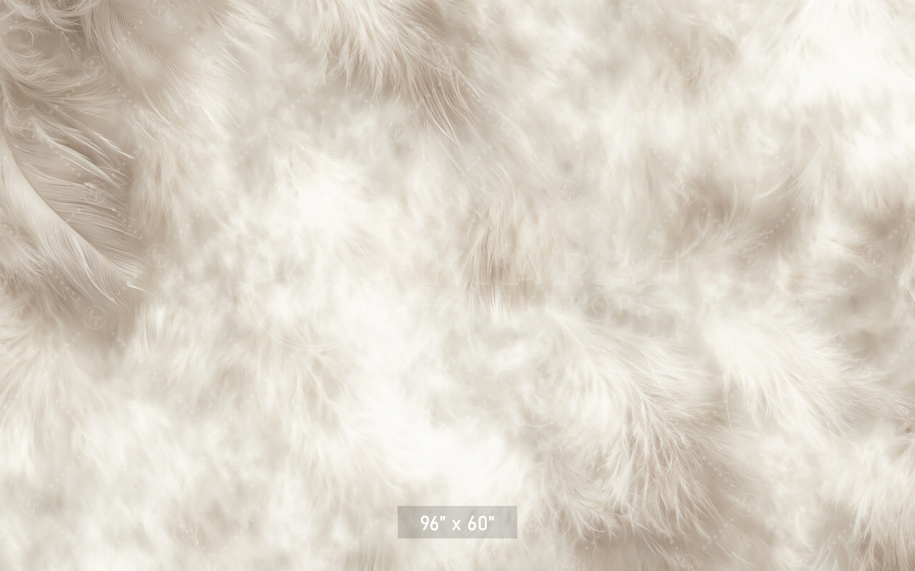 Soft White Feather Texture Backdrop