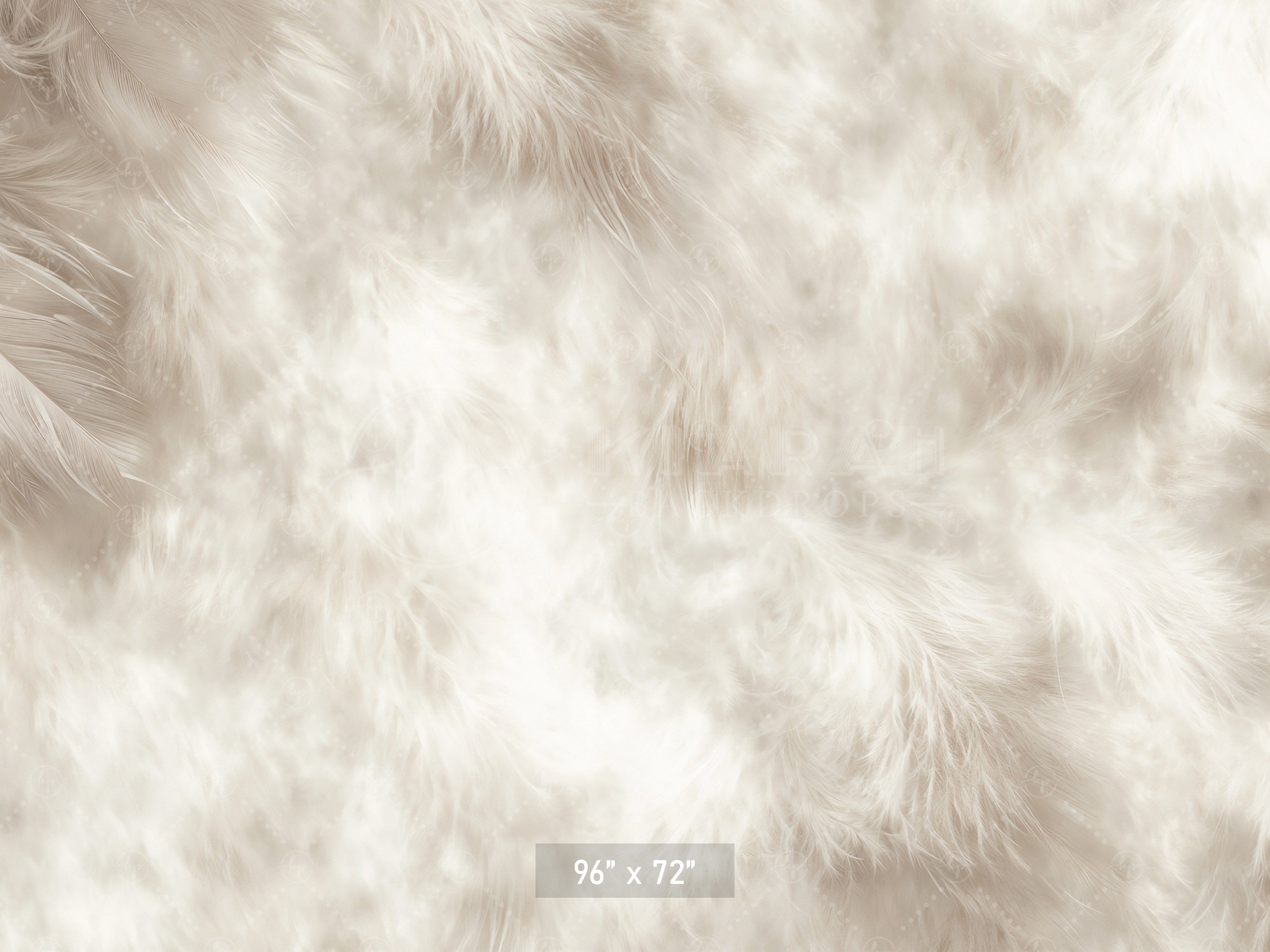 Soft White Feather Texture Backdrop