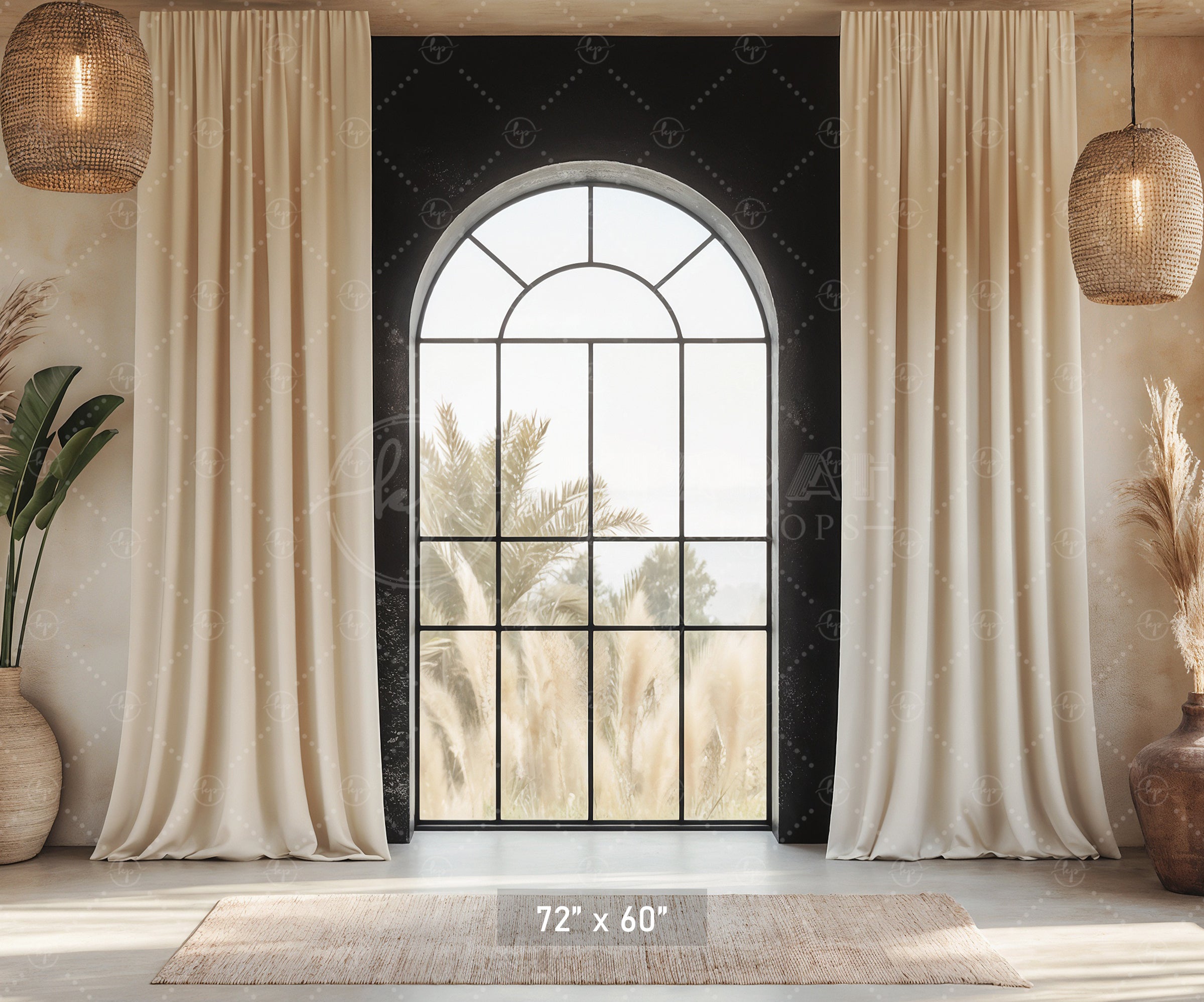 Modern Desert Window Backdrop