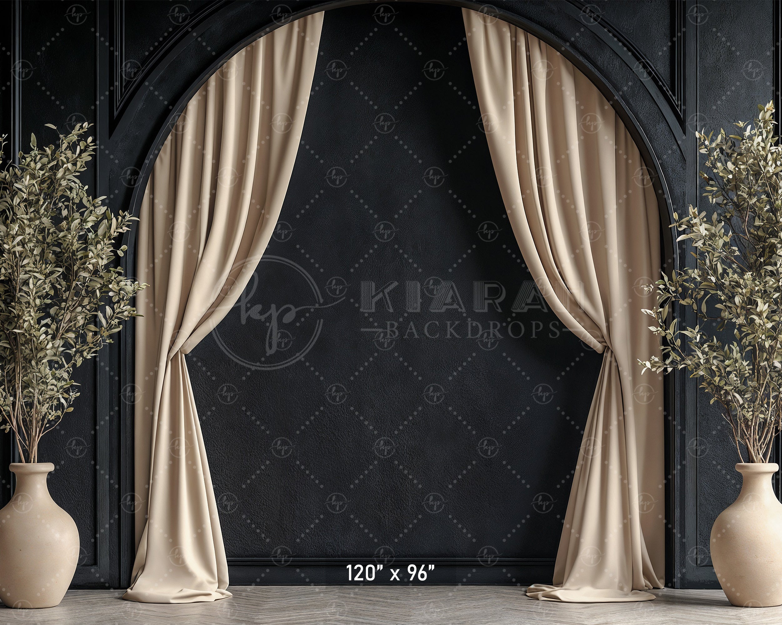 Modern Black Arch with Olive Branches Backdrop