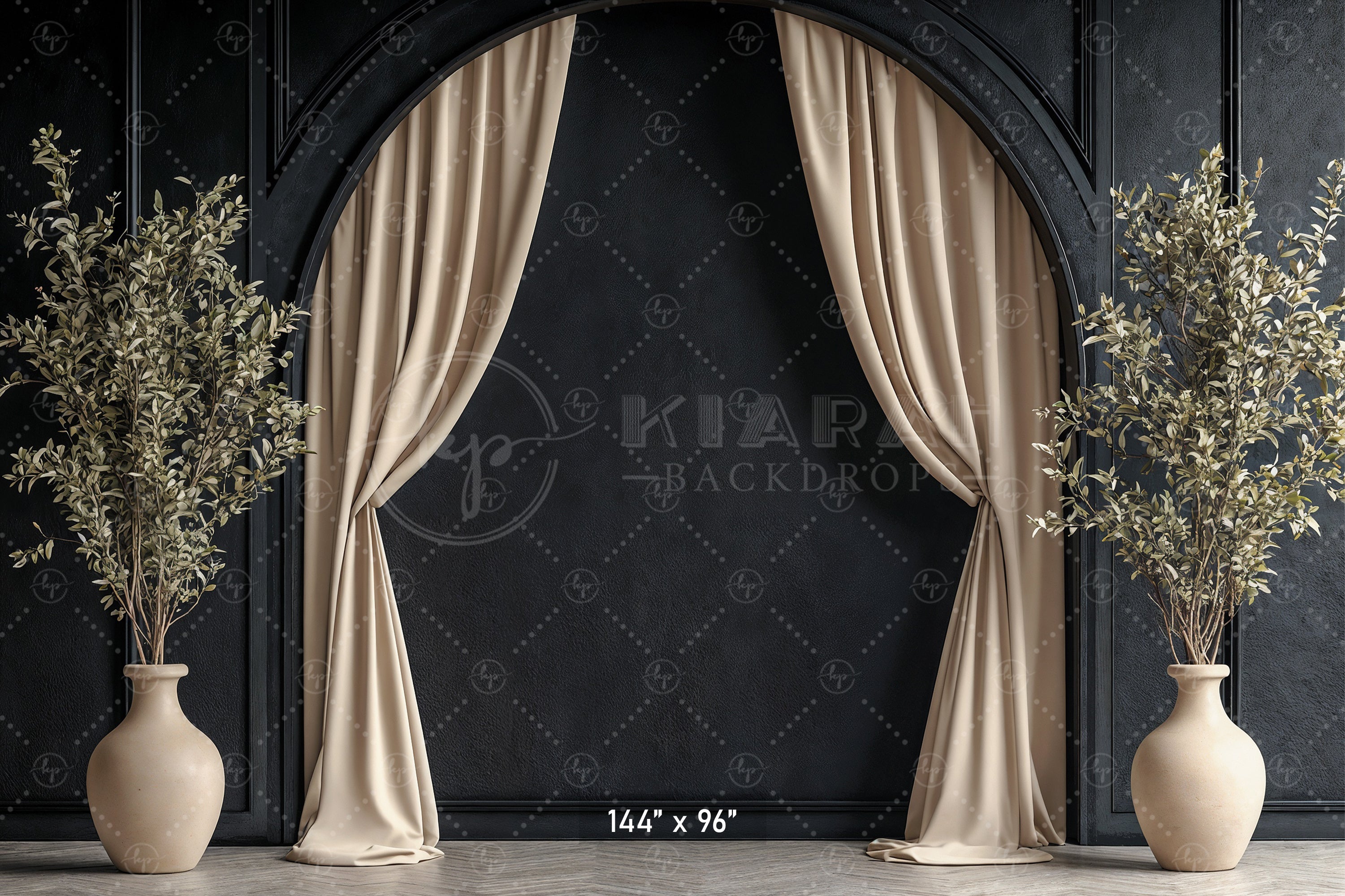 Modern Black Arch with Olive Branches Backdrop
