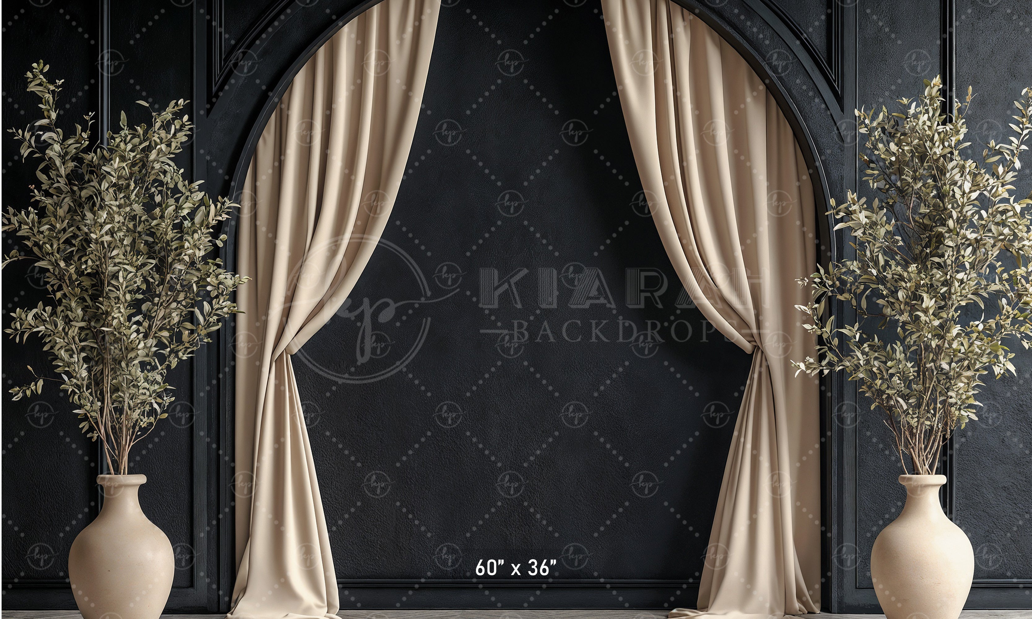 Modern Black Arch with Olive Branches Backdrop