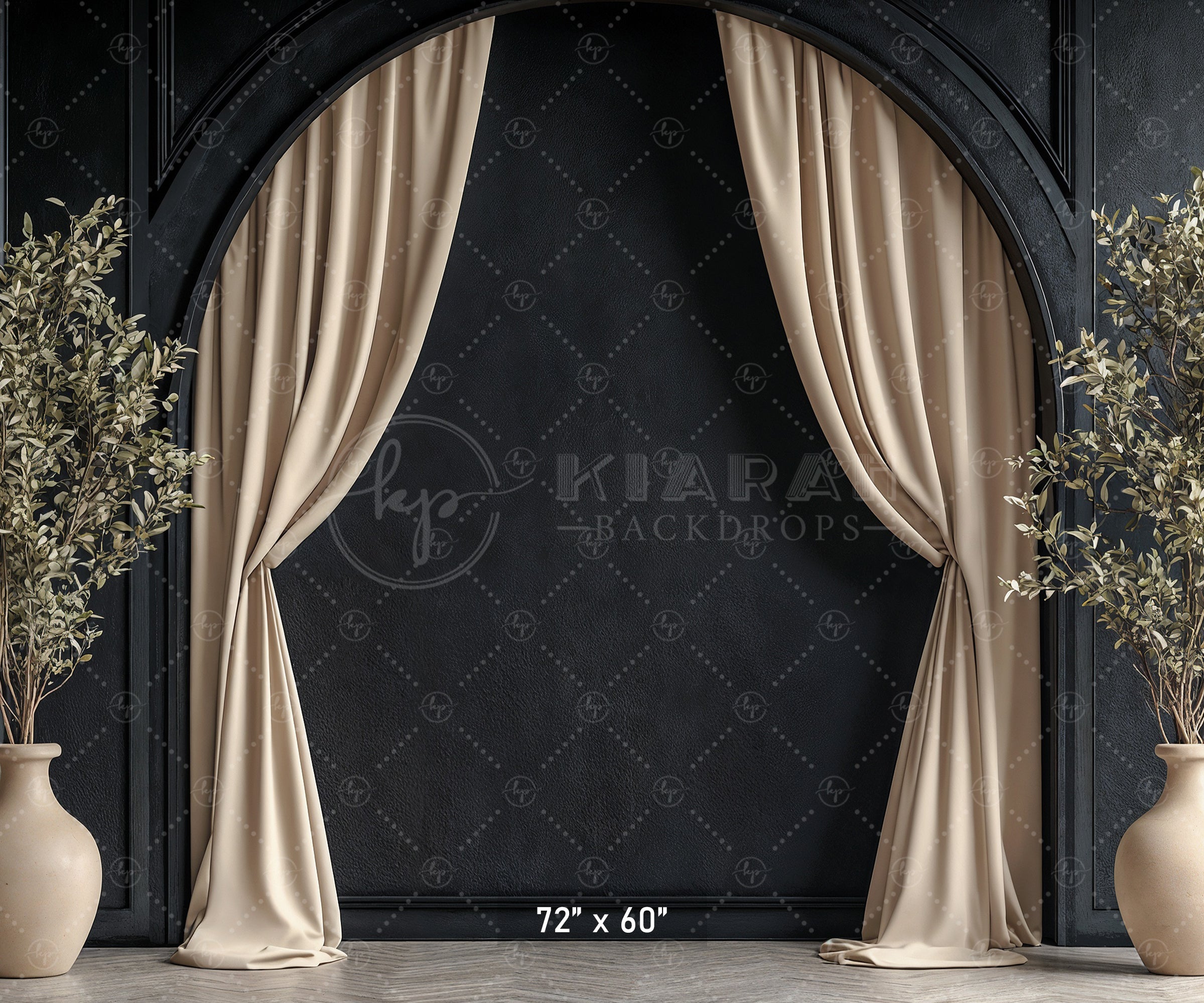 Modern Black Arch with Olive Branches Backdrop