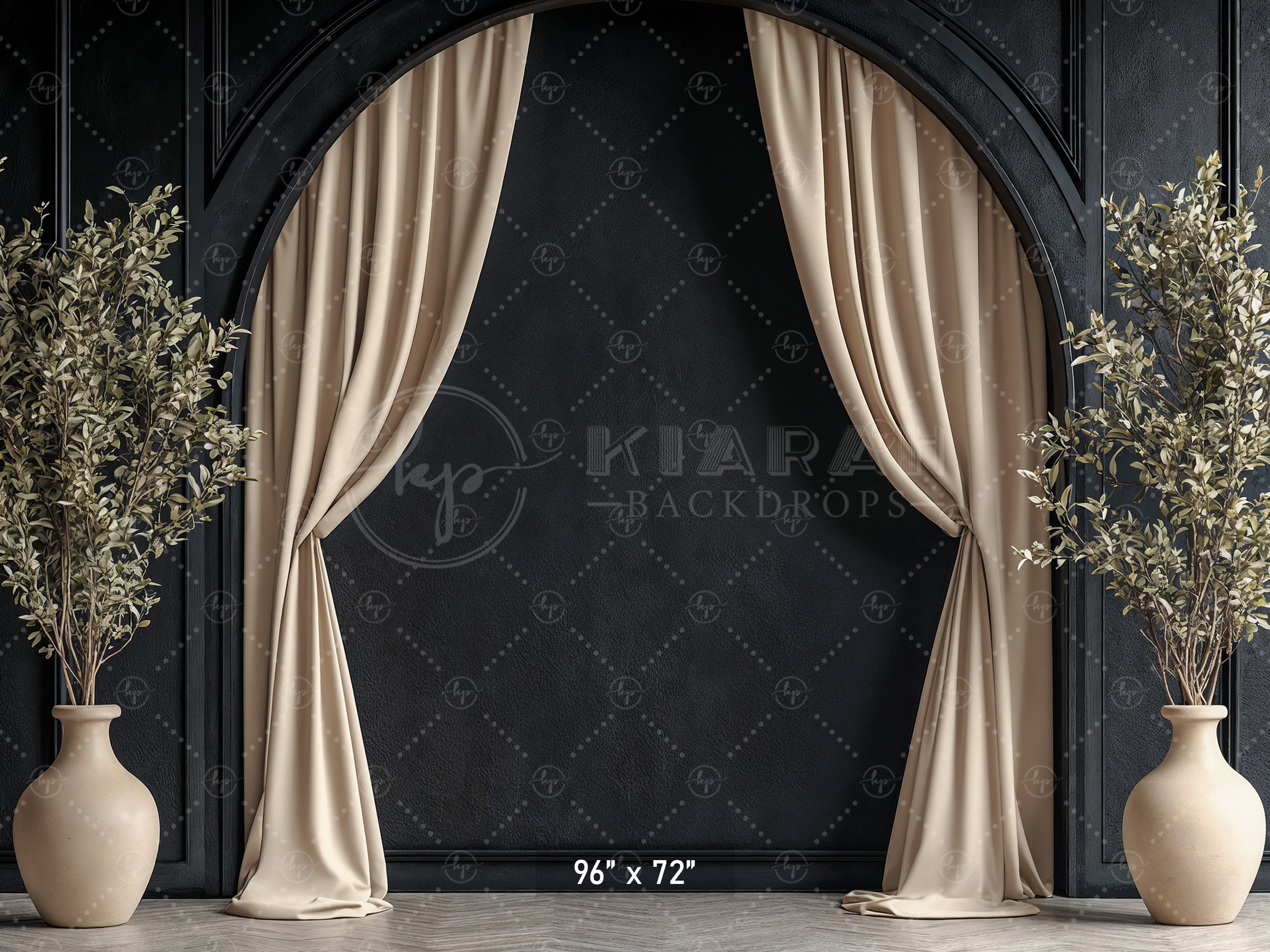 Modern Black Arch with Olive Branches Backdrop