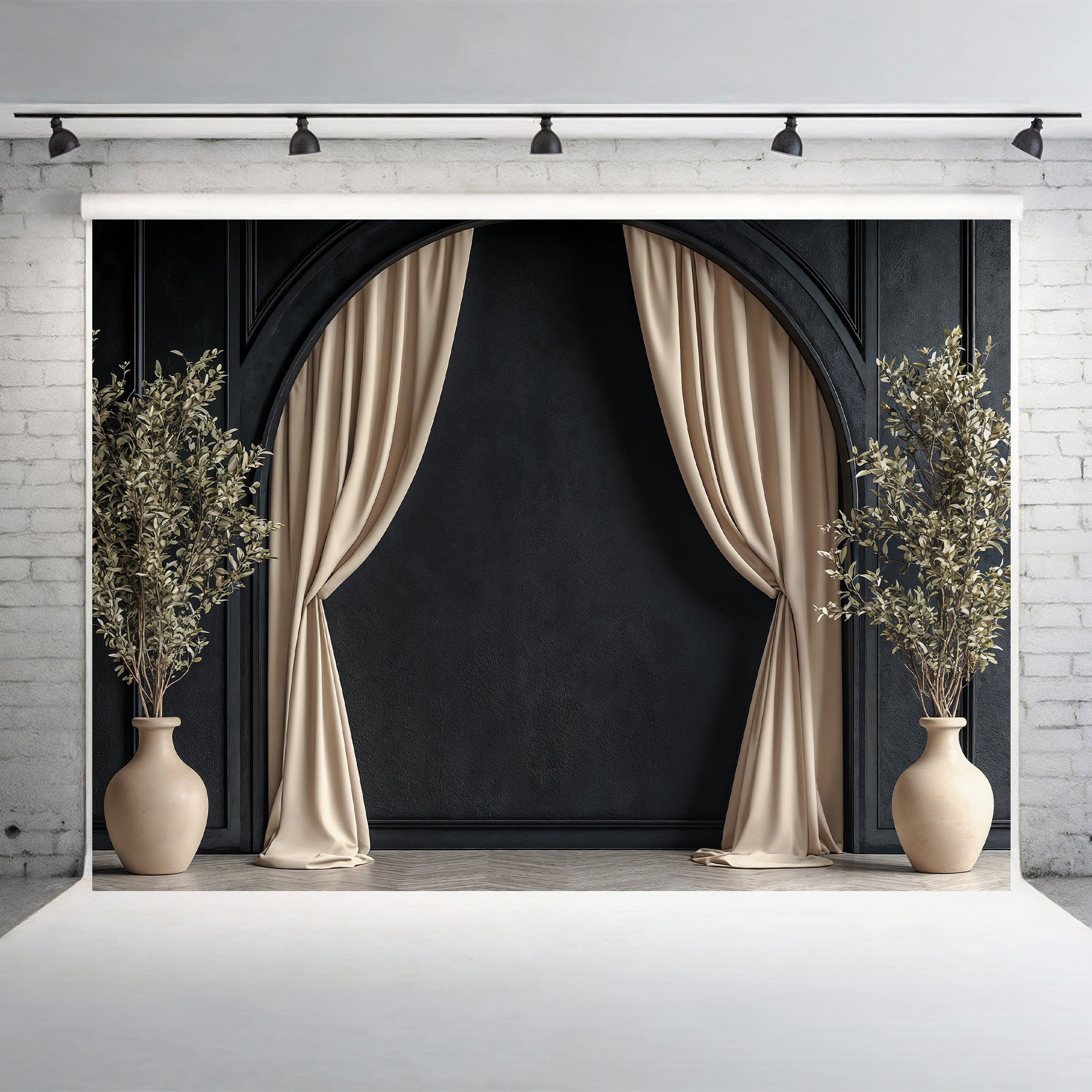 Modern Black Arch with Olive Branches Backdrop