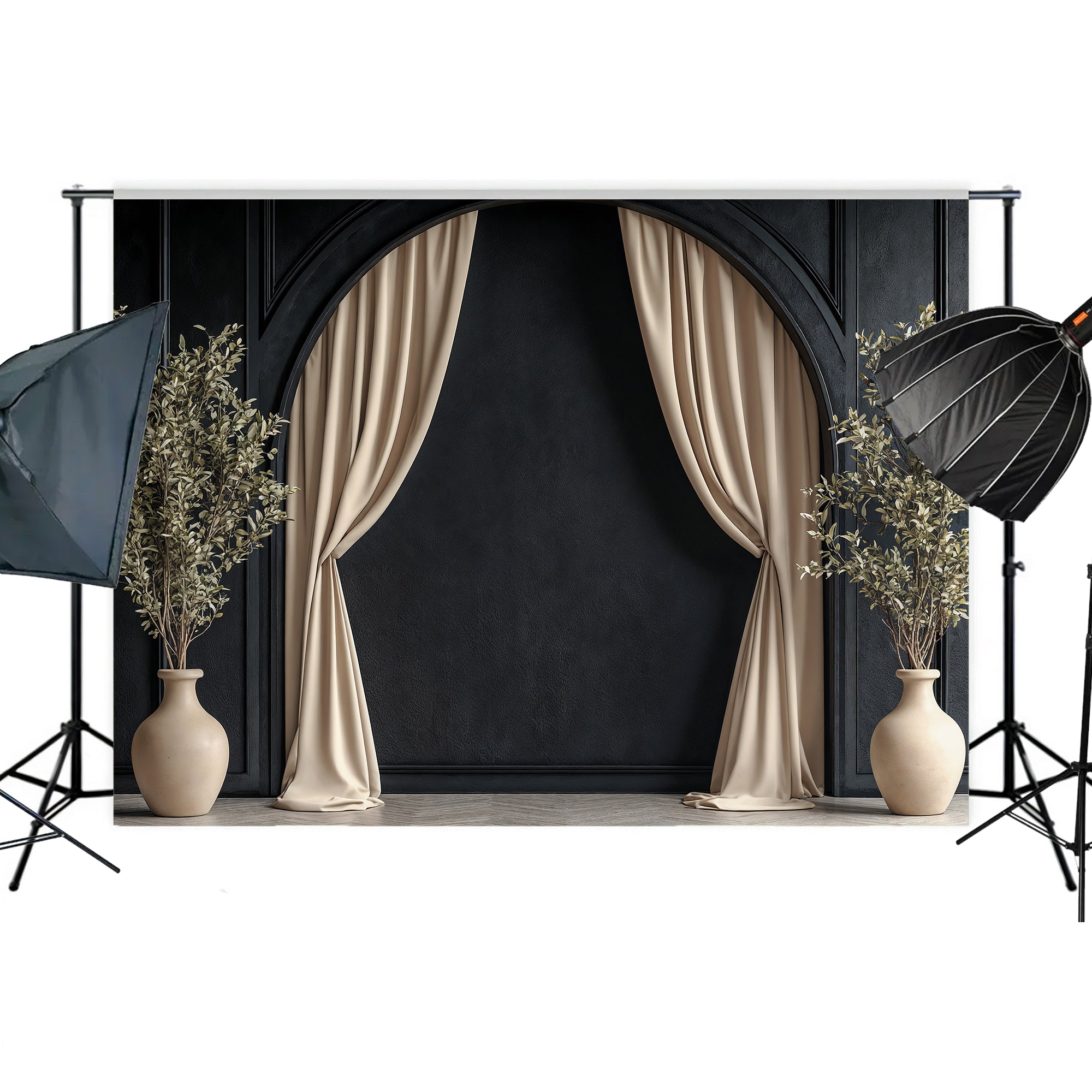 Modern Black Arch with Olive Branches Backdrop