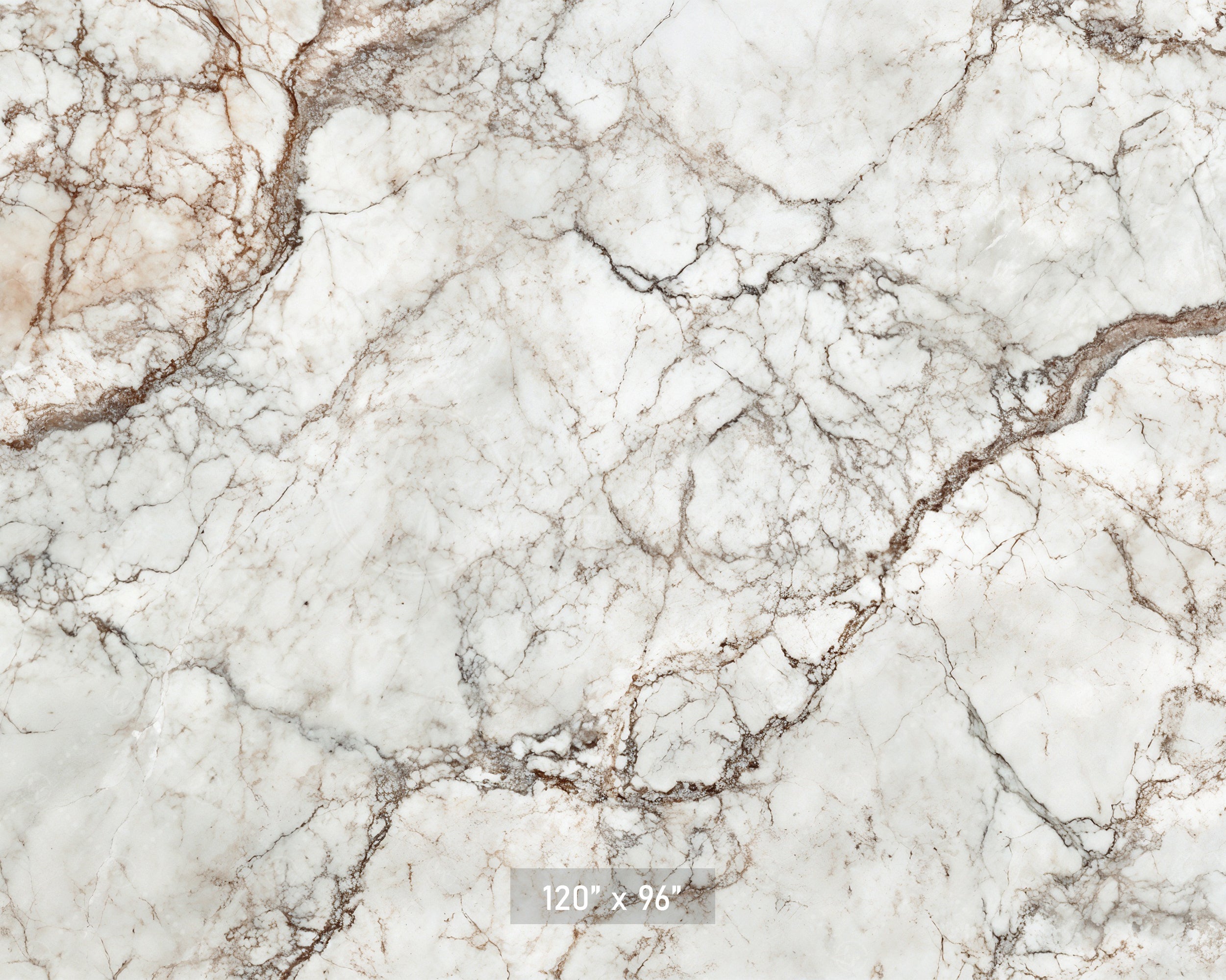 Classic White & Brown Marble Backdrop