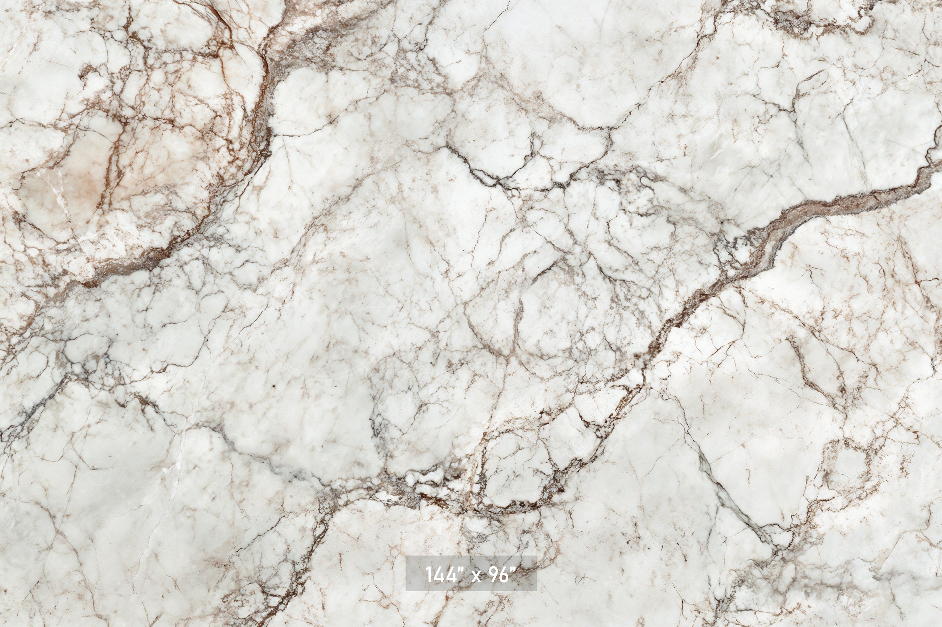 Classic White & Brown Marble Backdrop