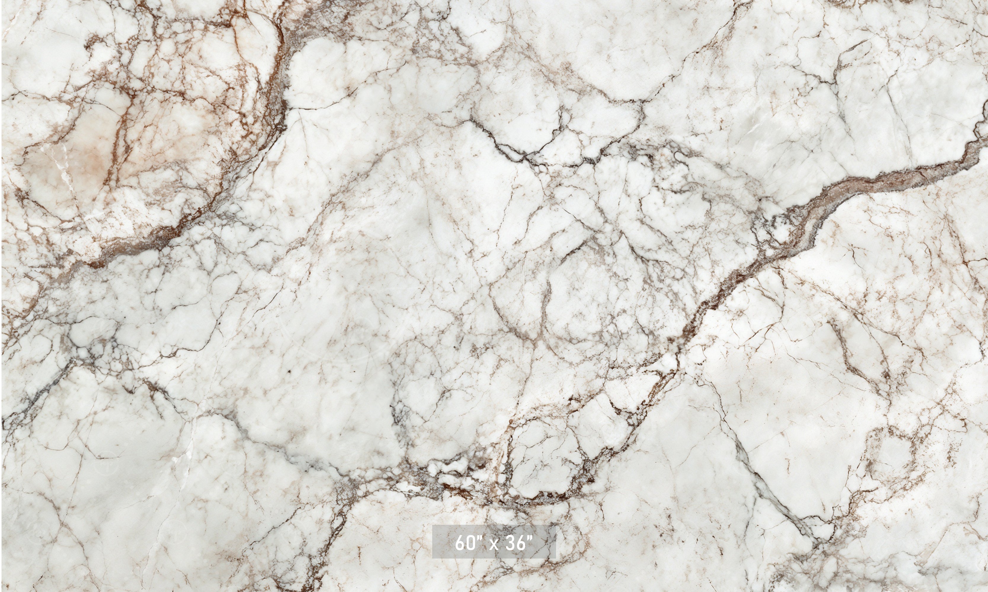 Classic White & Brown Marble Backdrop