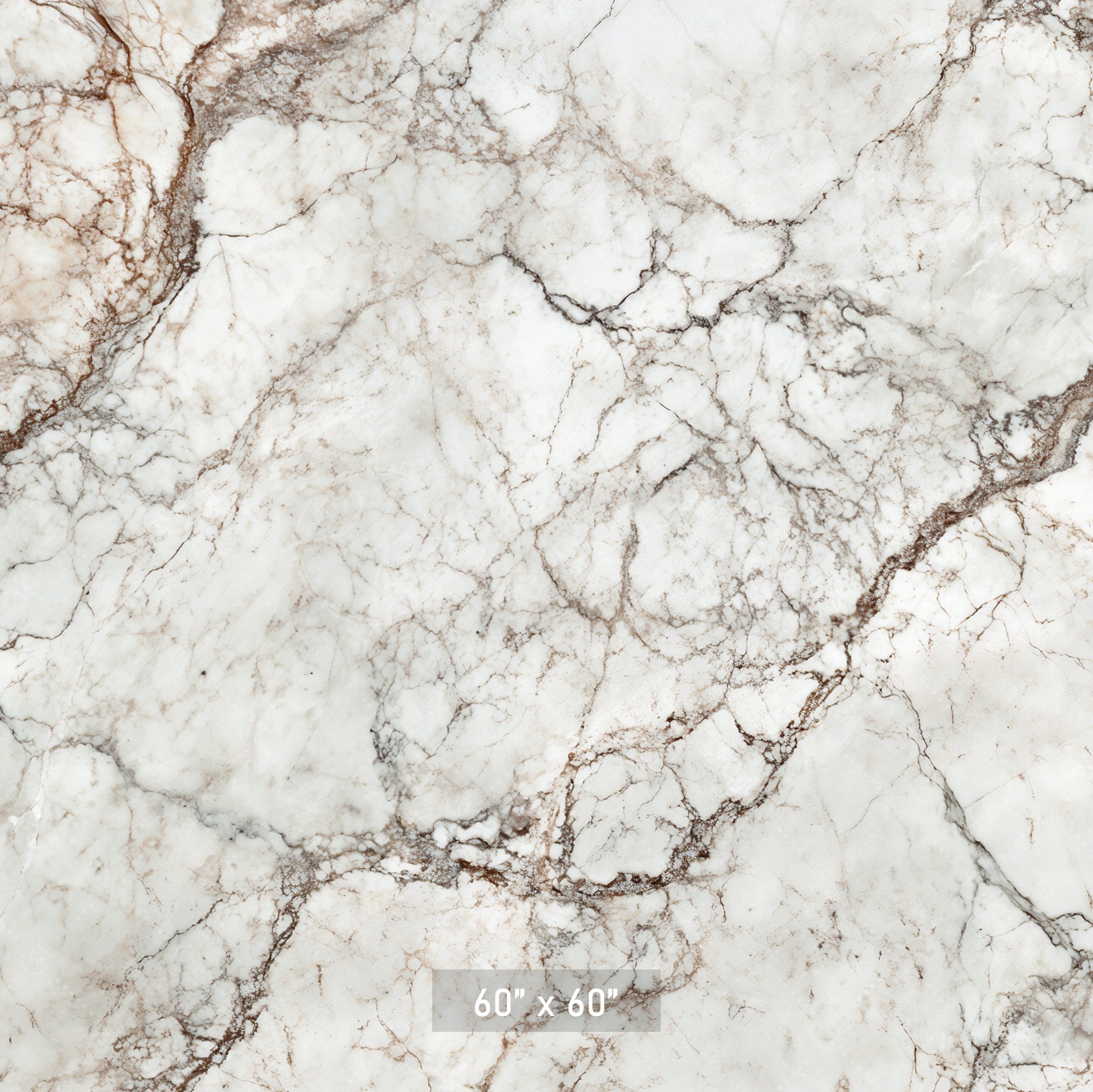 Classic White & Brown Marble Backdrop