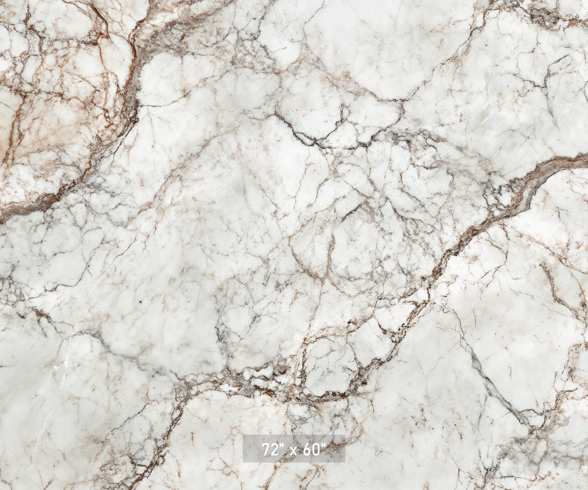Classic White & Brown Marble Backdrop